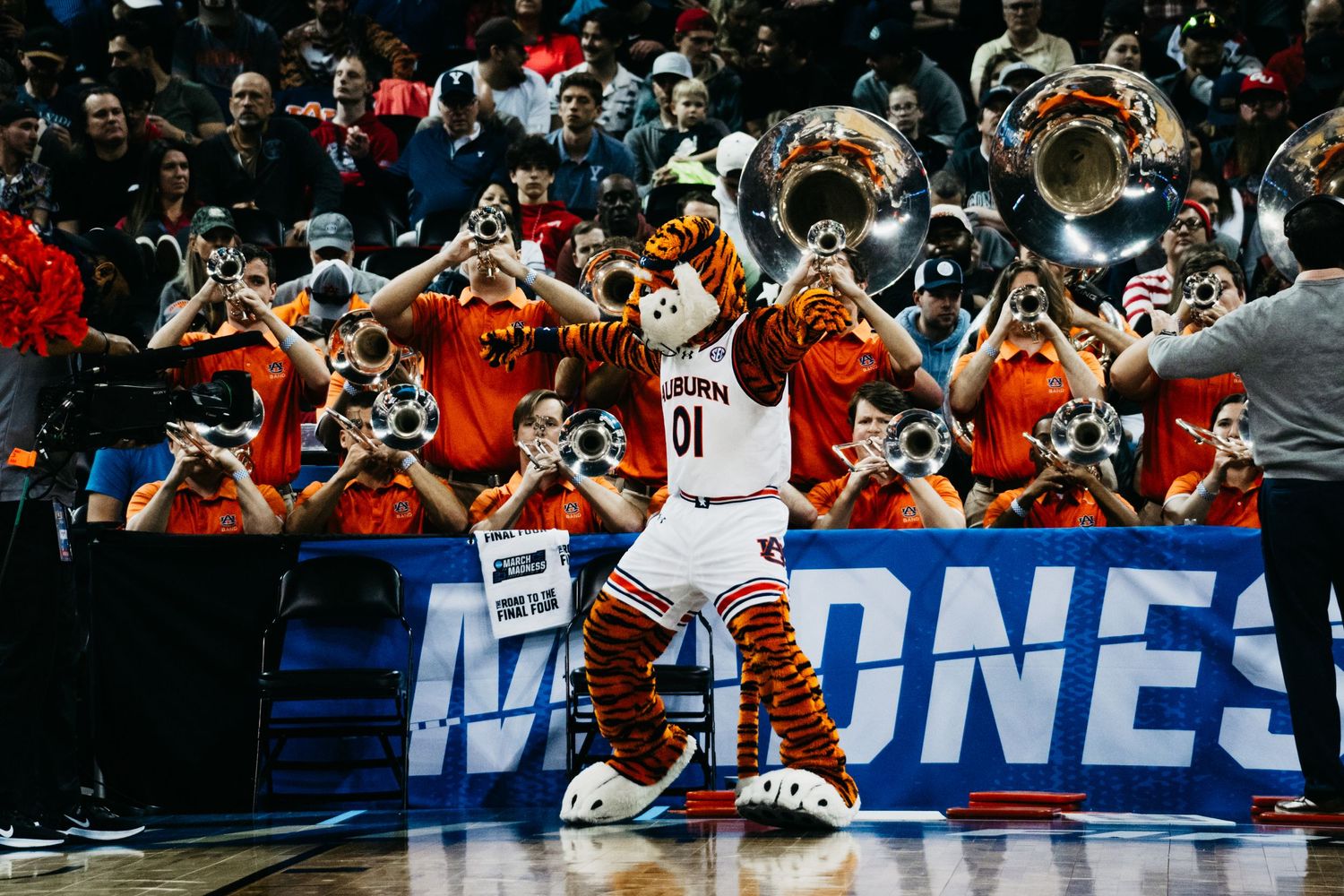 Sports mascot with horns poses in front of brass band at March Madness basketball tournament.