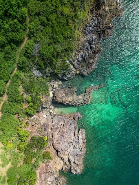 Aerial view of rocky coastline with lush green forest meeting crystal clear turquoise ocean waters.