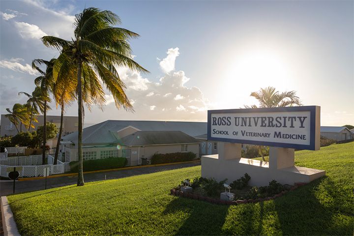 Ross University School of Veterinary Medicine sign on sunny campus with palm trees and blue sky.