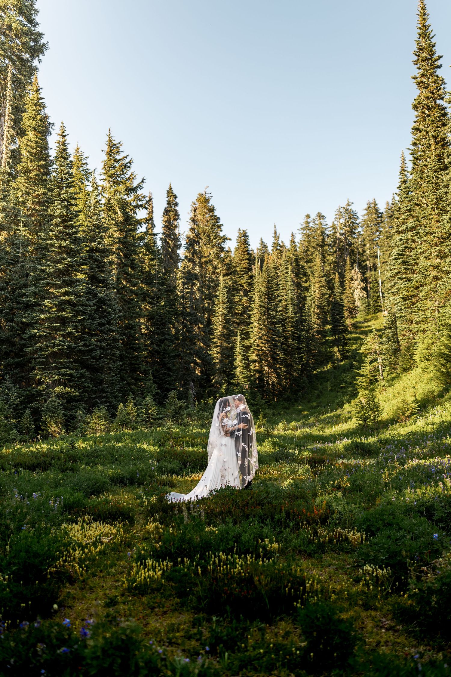 Bride and groom share a romantic kiss in a lush alpine meadow surrounded by tall evergreen trees on their wedding day.