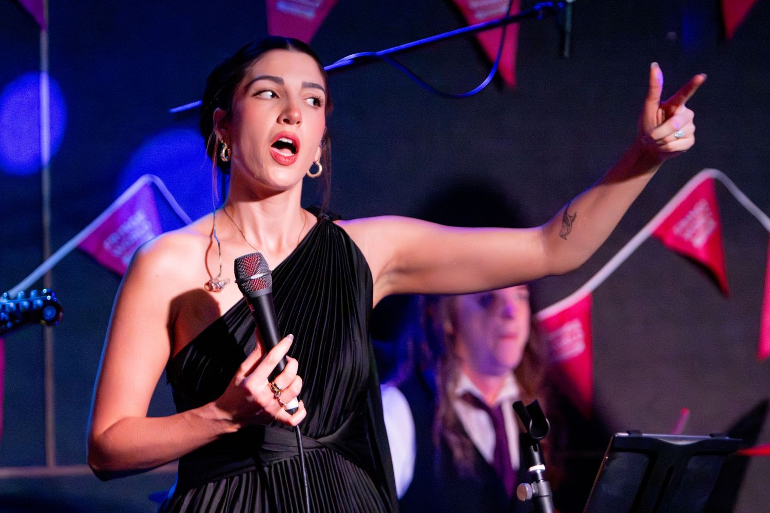 Concert Photo