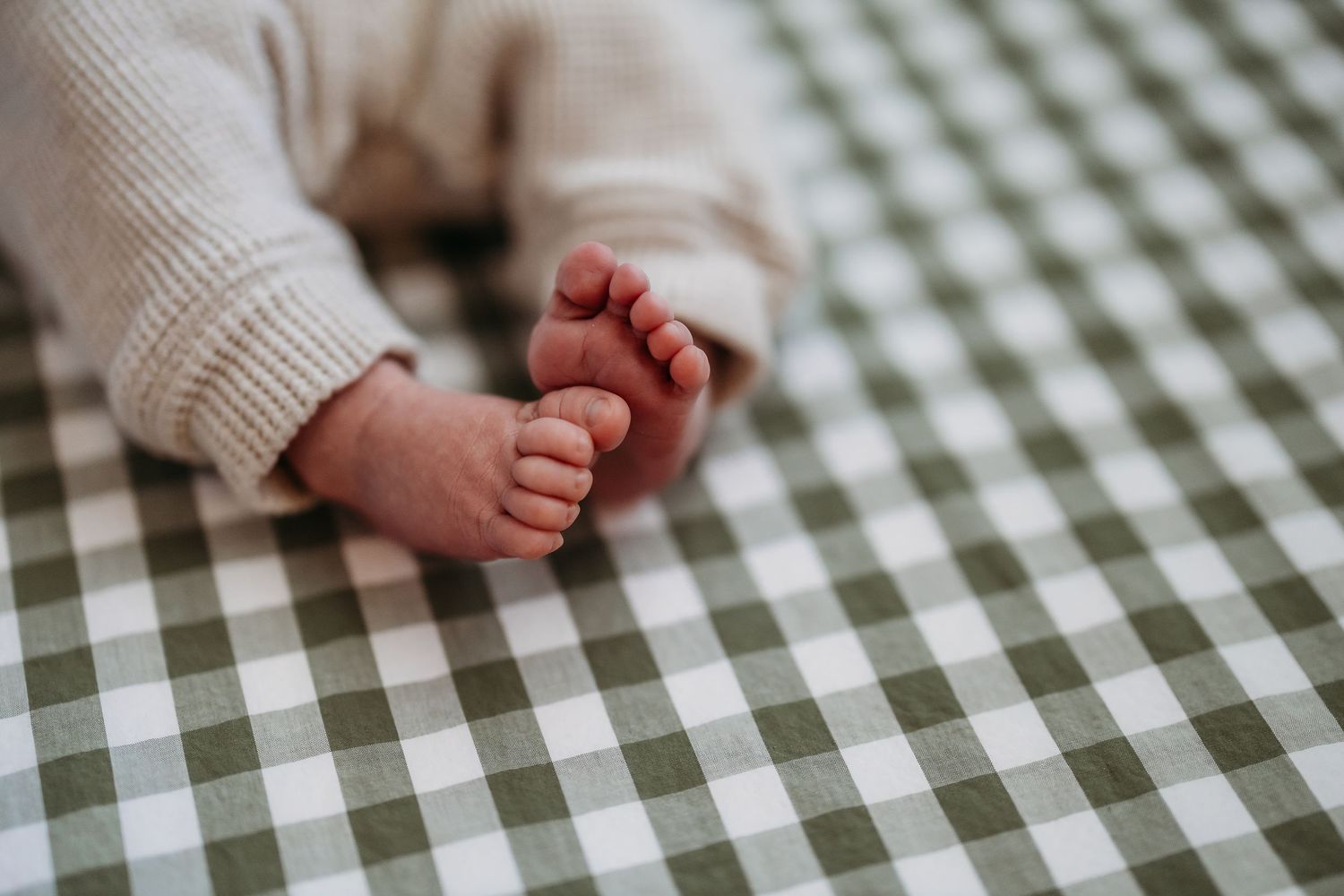 Close-up of tiny feet on green and white checkered fabric.