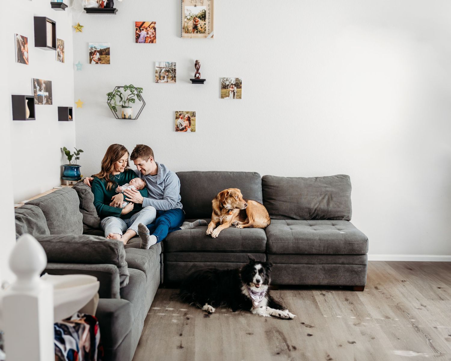 Family and dog relaxing together on grey couch in living room with photo wall.
