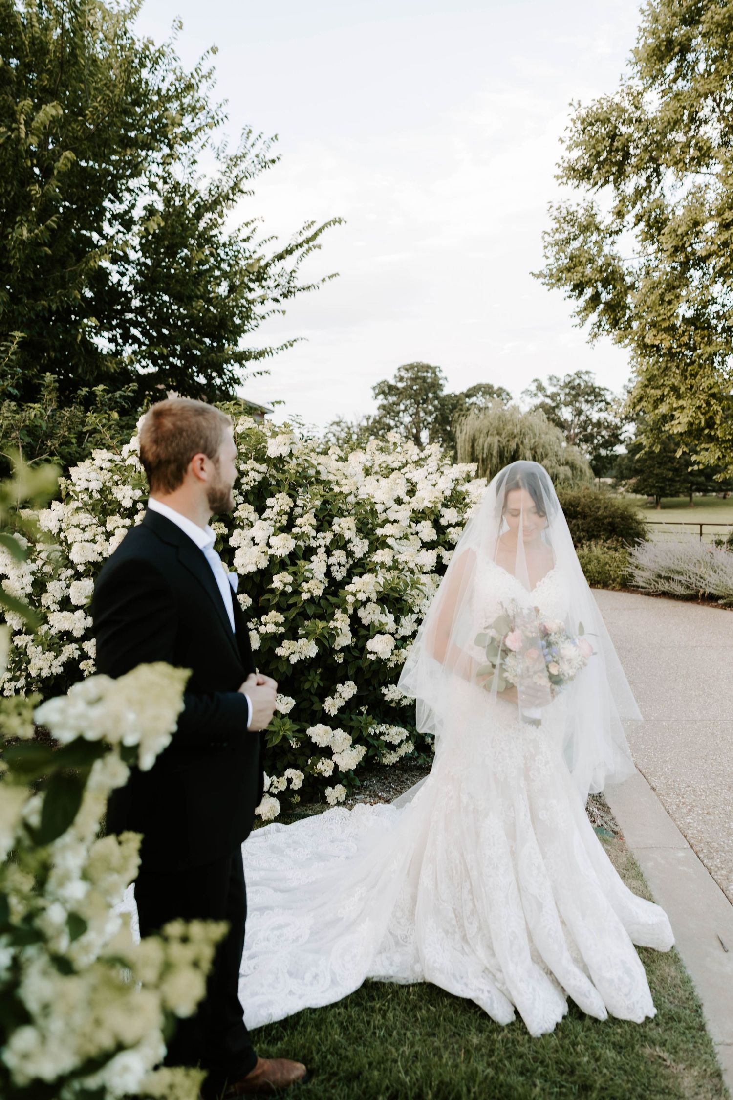 Bride in lace gown with veil approaches groom near blooming white flower bushes outdoors.