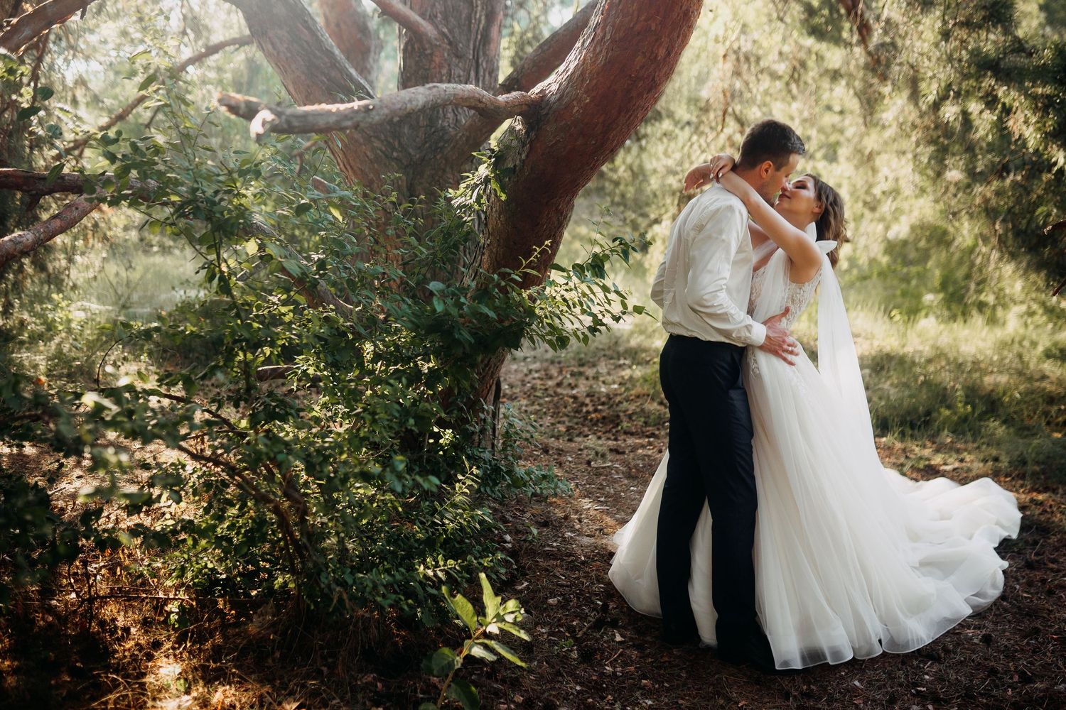 Newlyweds share an intimate moment beneath towering trees in golden afternoon light.