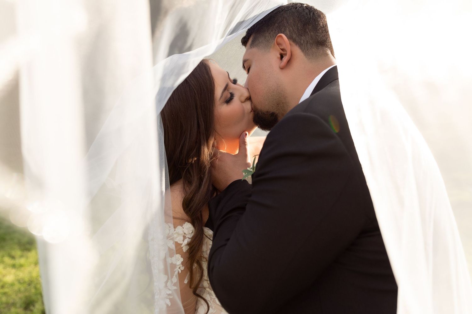 Romantic wedding moment captured as newlyweds share a kiss under flowing white veil in sunlit outdoor setting.