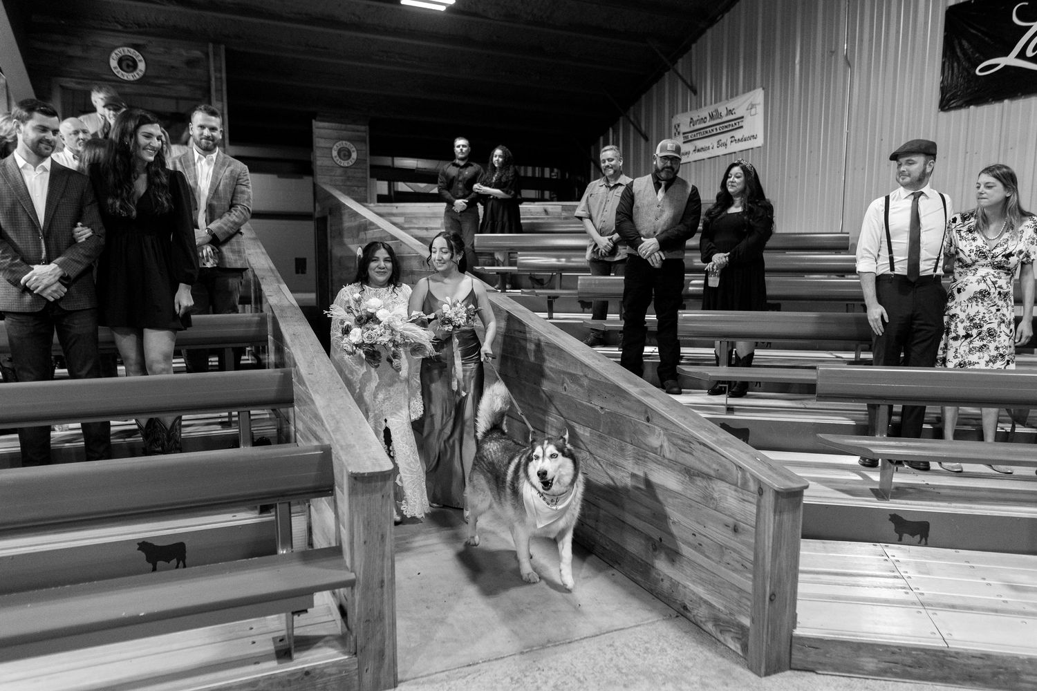 Wedding party gathers on wooden bleachers for casual group photos.