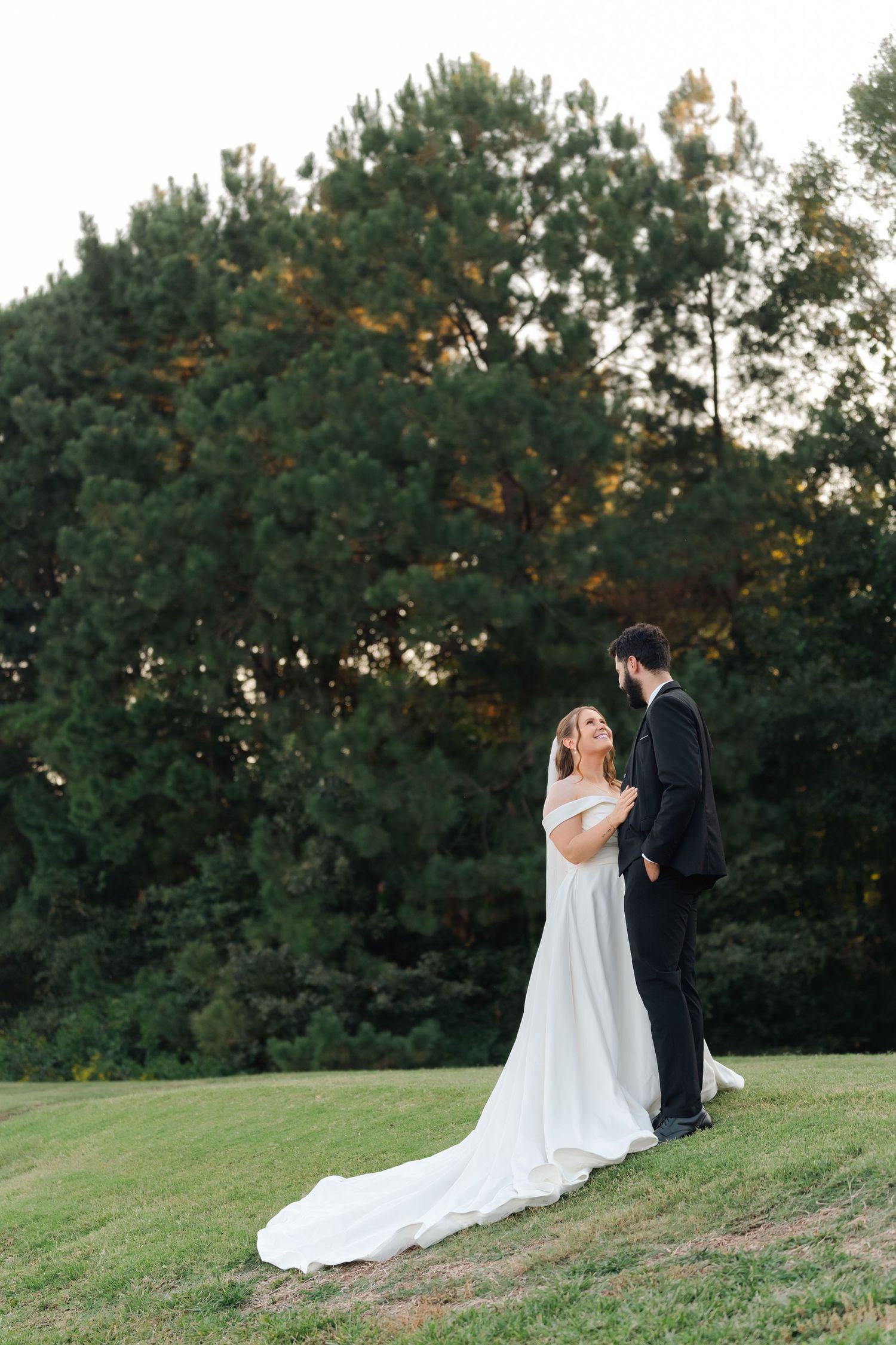 A wedding couple shares an intimate moment on a grassy hillside with pine trees silhouetted in the evening light.