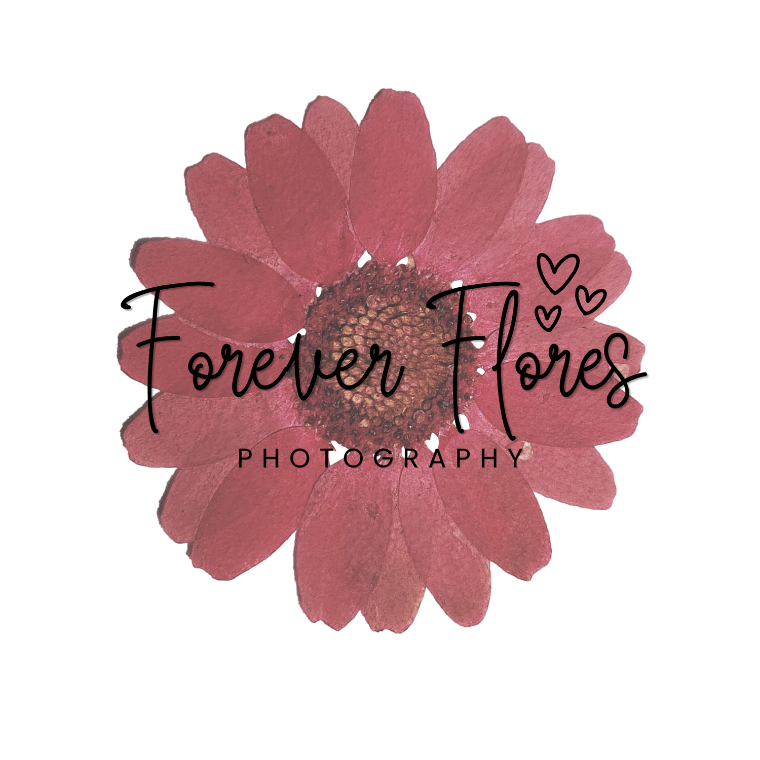 San Antonio Wedding Photographer