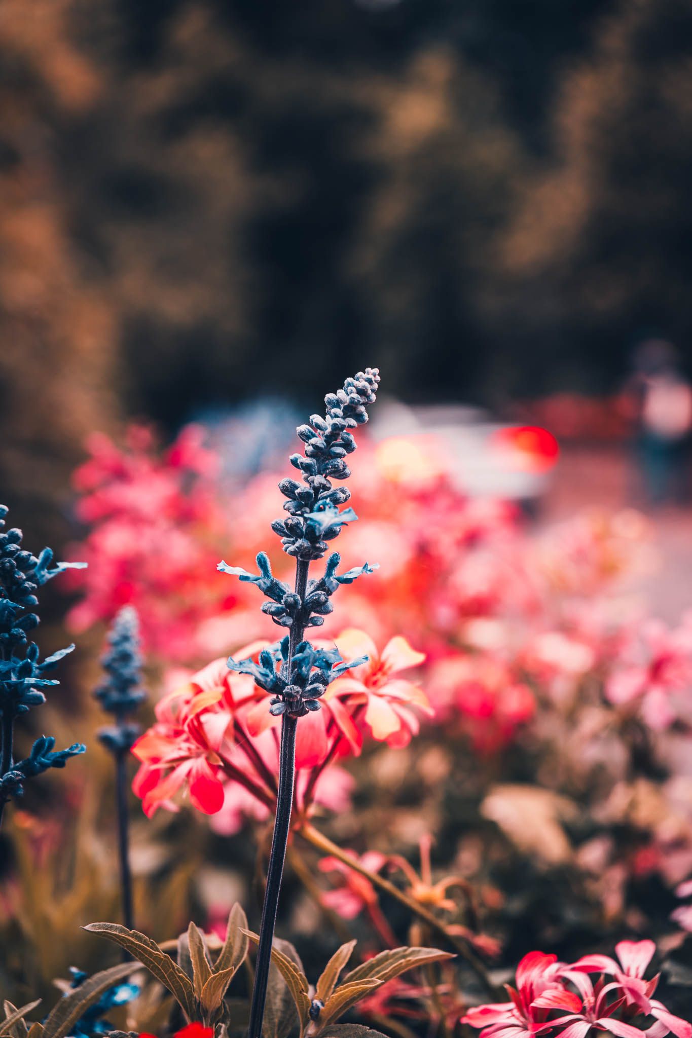 detail of flowers at a wedding
