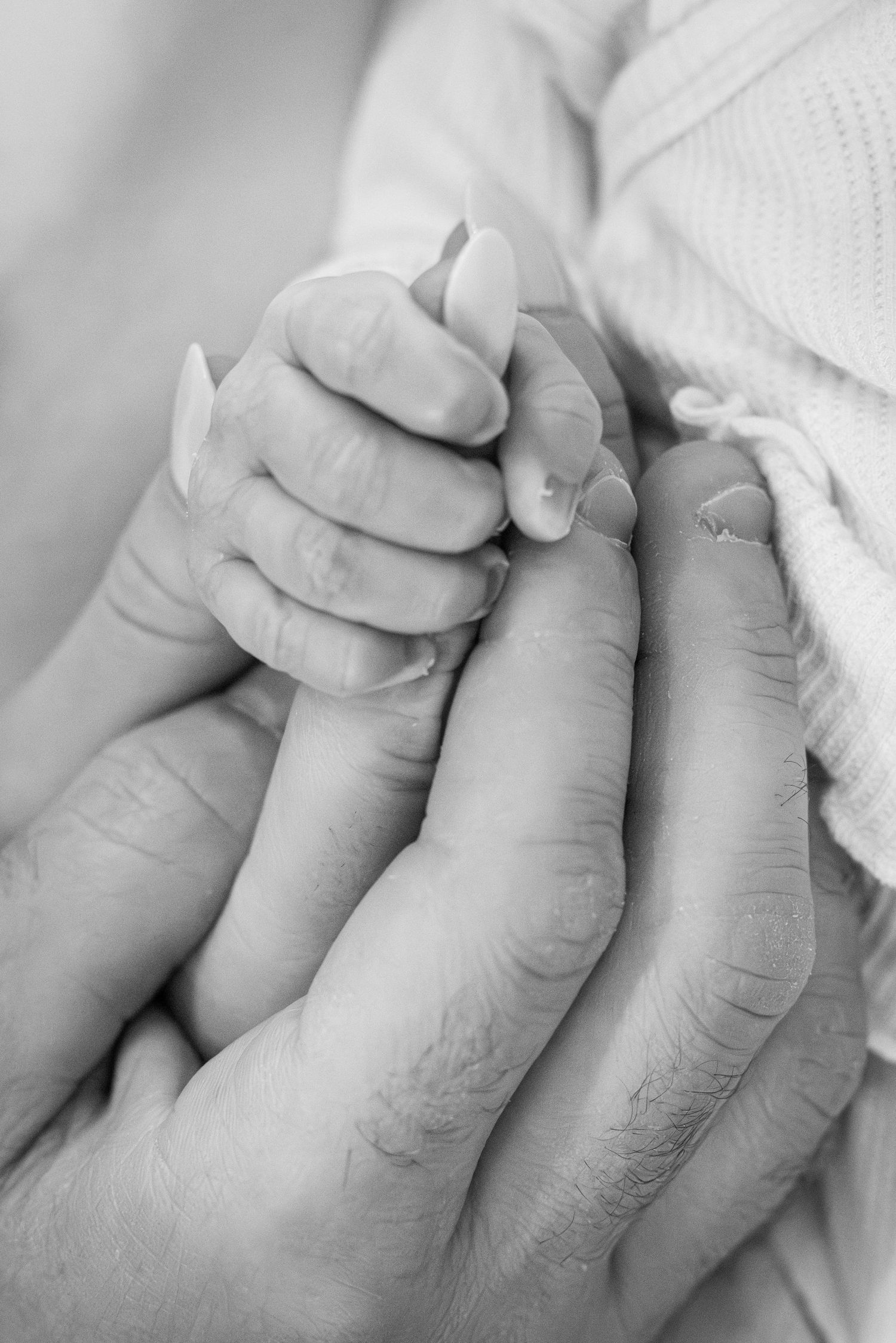 Black and white photo of a newborn baby's tiny hand gripping an adult's finger, symbolizing new life and parental bond.