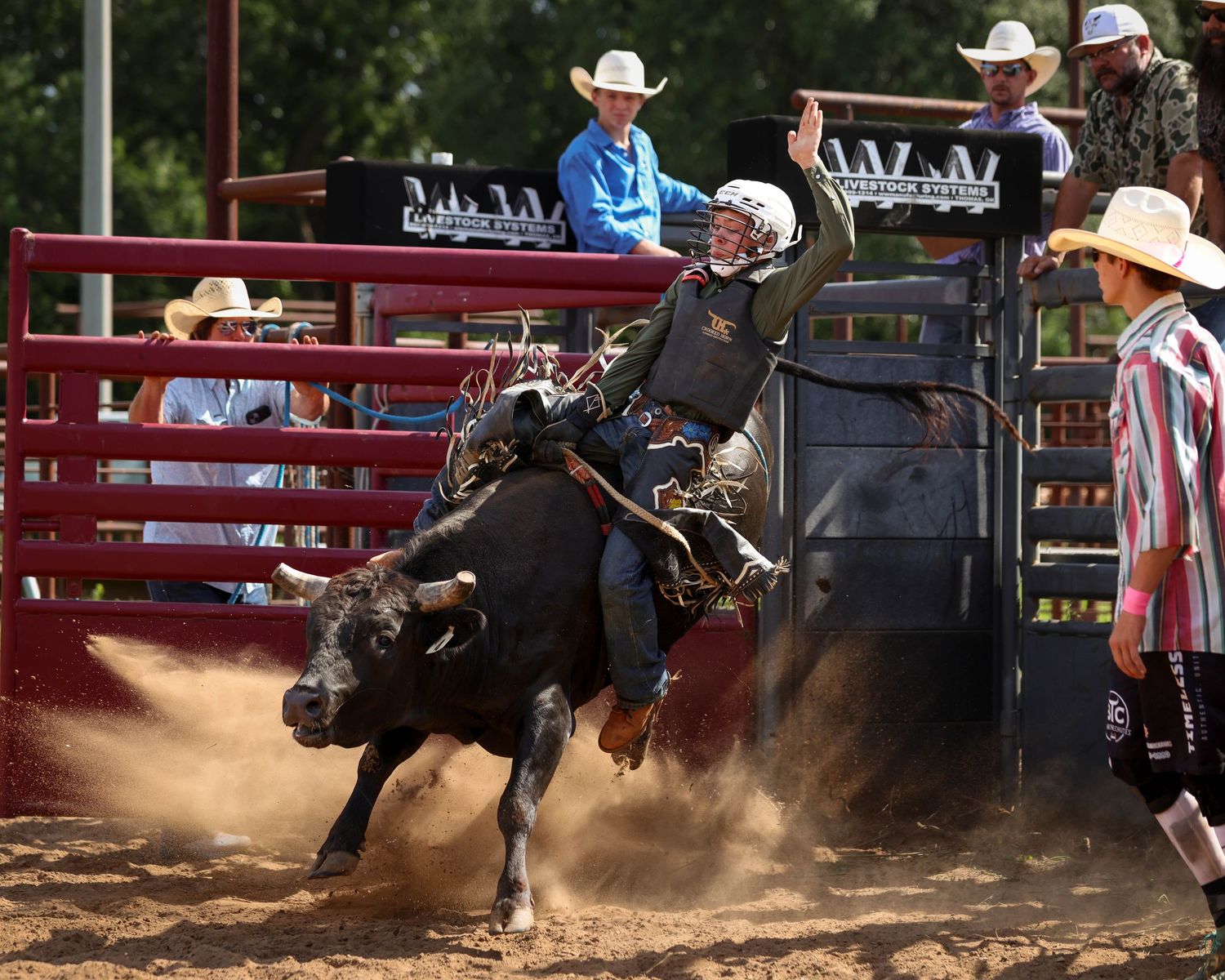 Cowboy riding a black bull at an outdoor rodeo with clowns and spectators watching nearby.