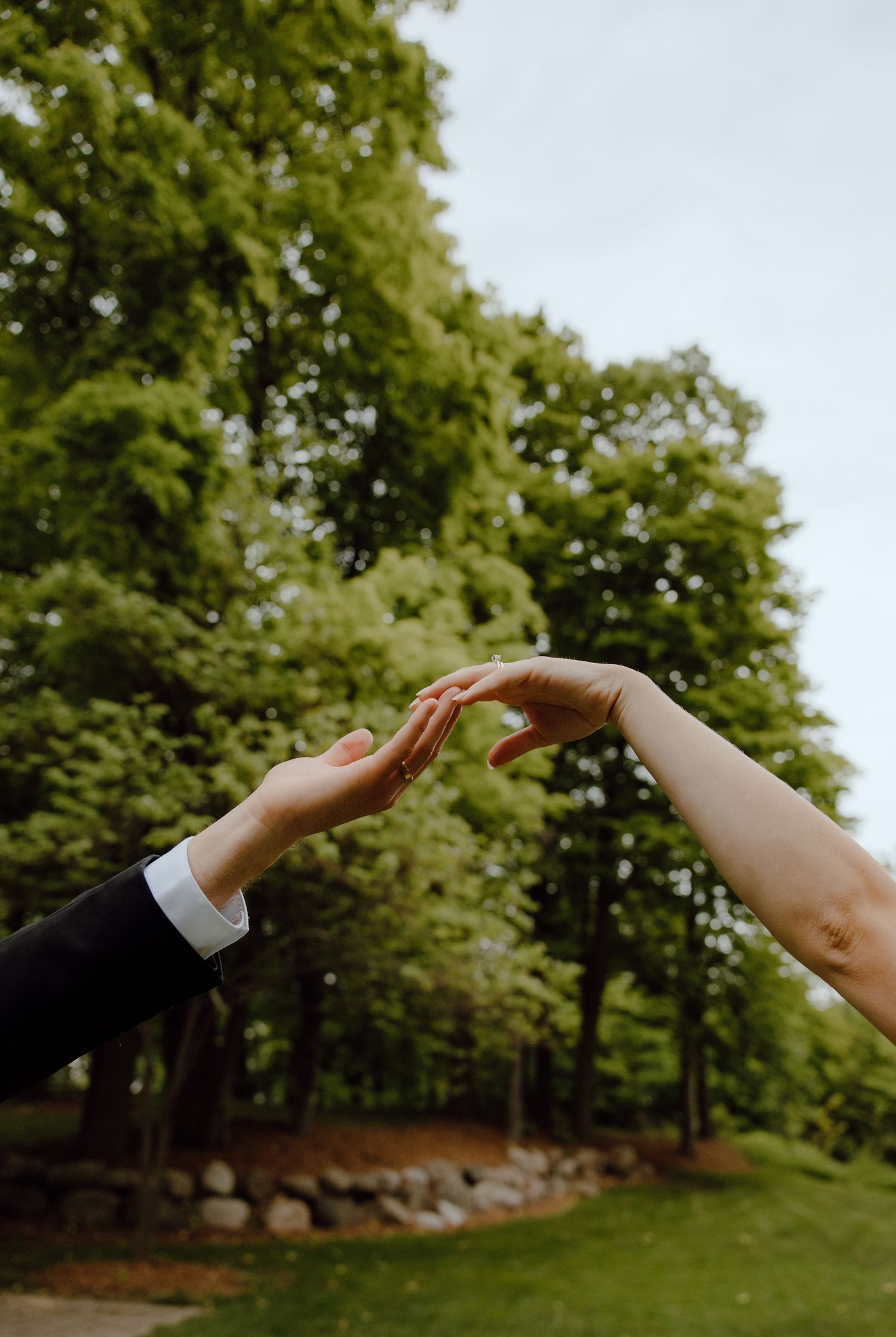 Two hands reach toward each other against a backdrop of green trees.