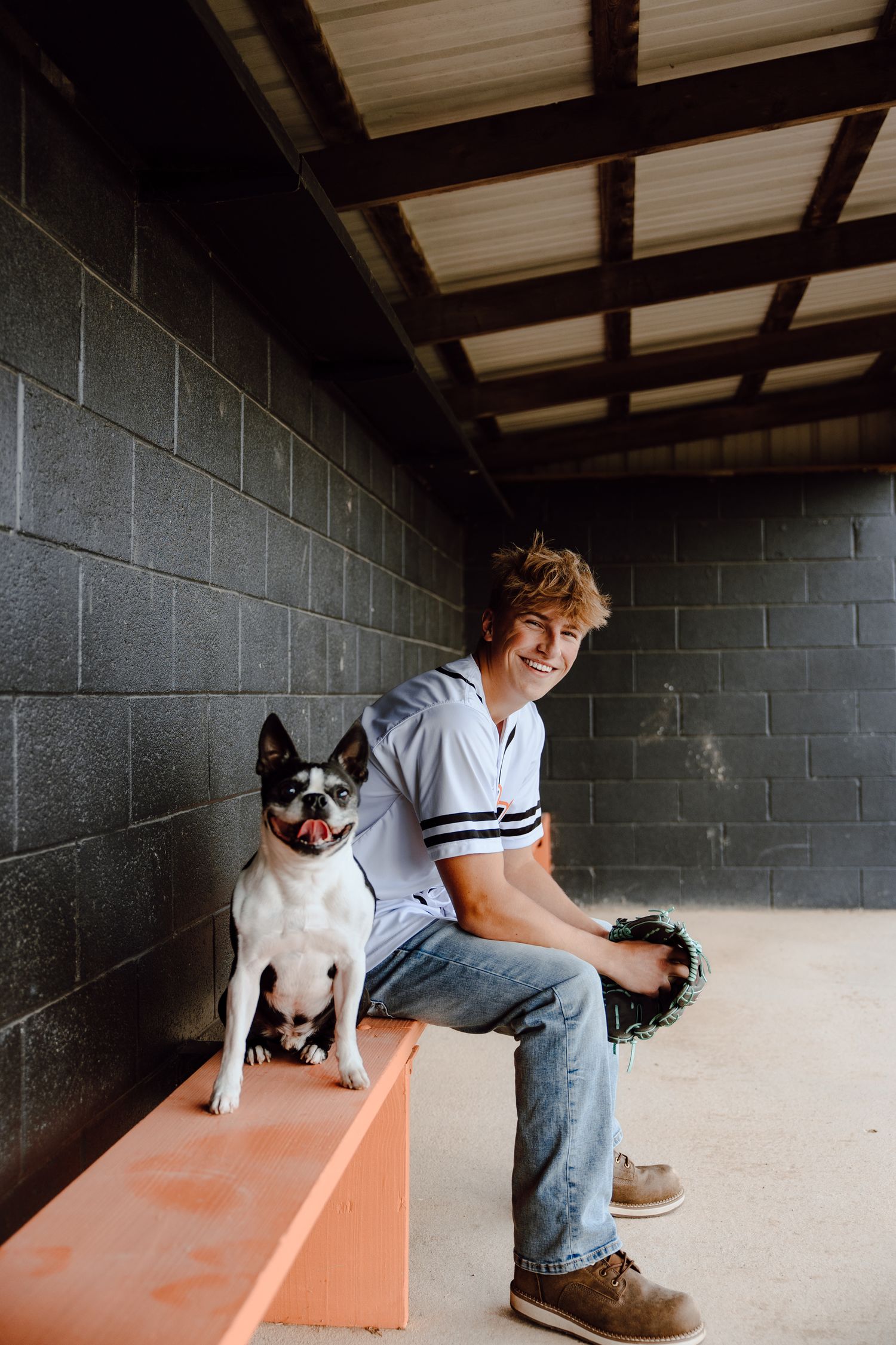 A casual portrait with a Boston Terrier dog sitting on an orange bench in a dugout.