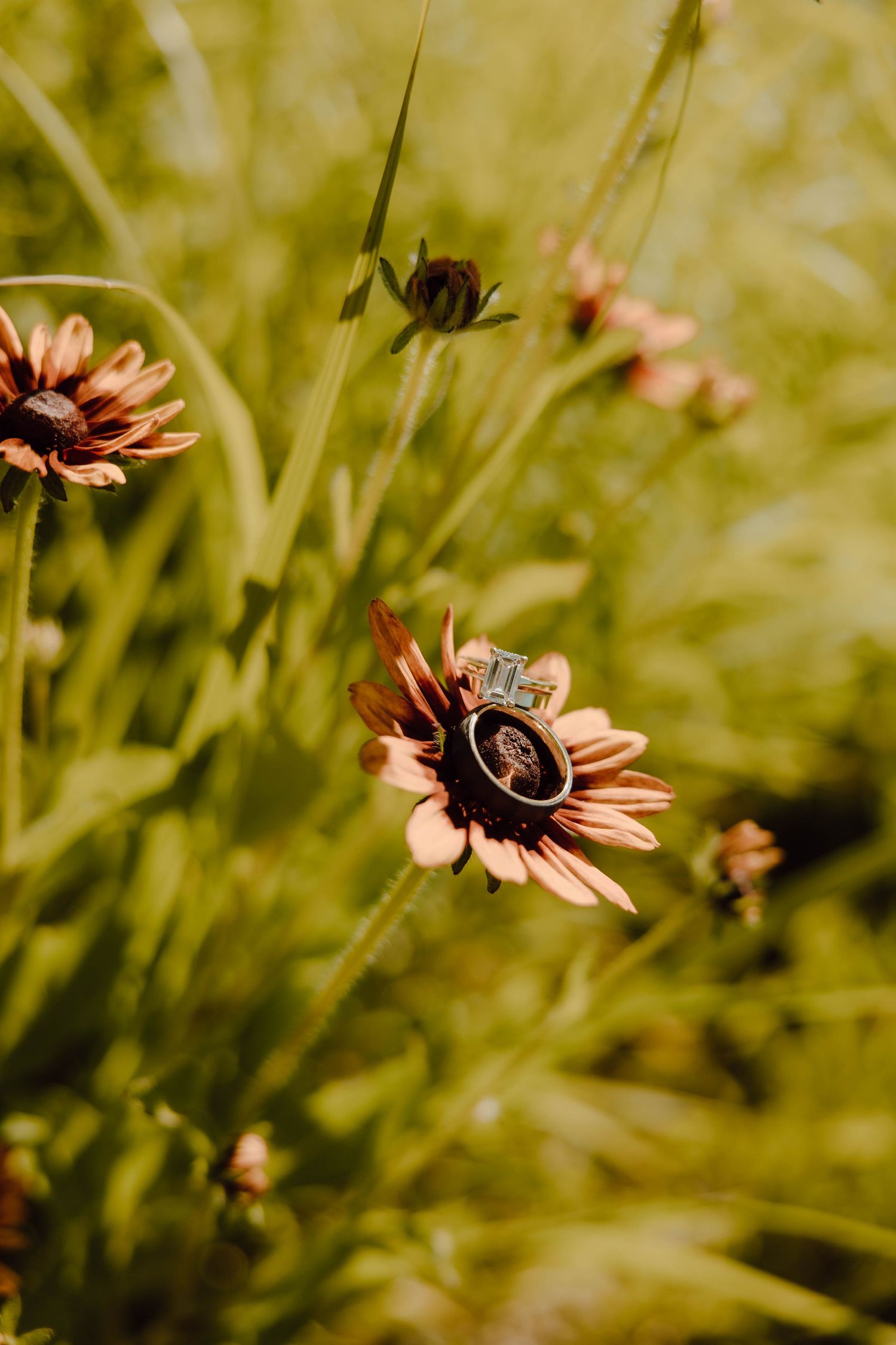 Wedding rings resting on a rustic orange flower in a lush green meadow.