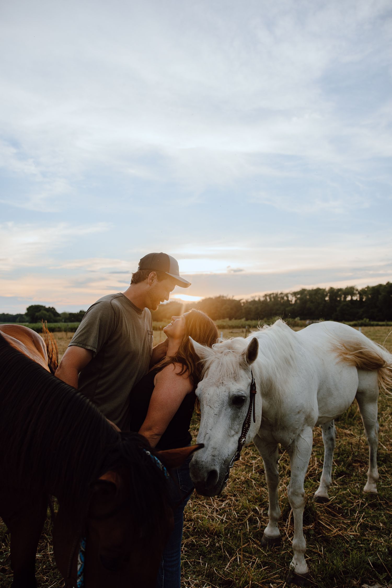 A couple pets white horses in a pasture during golden hour.