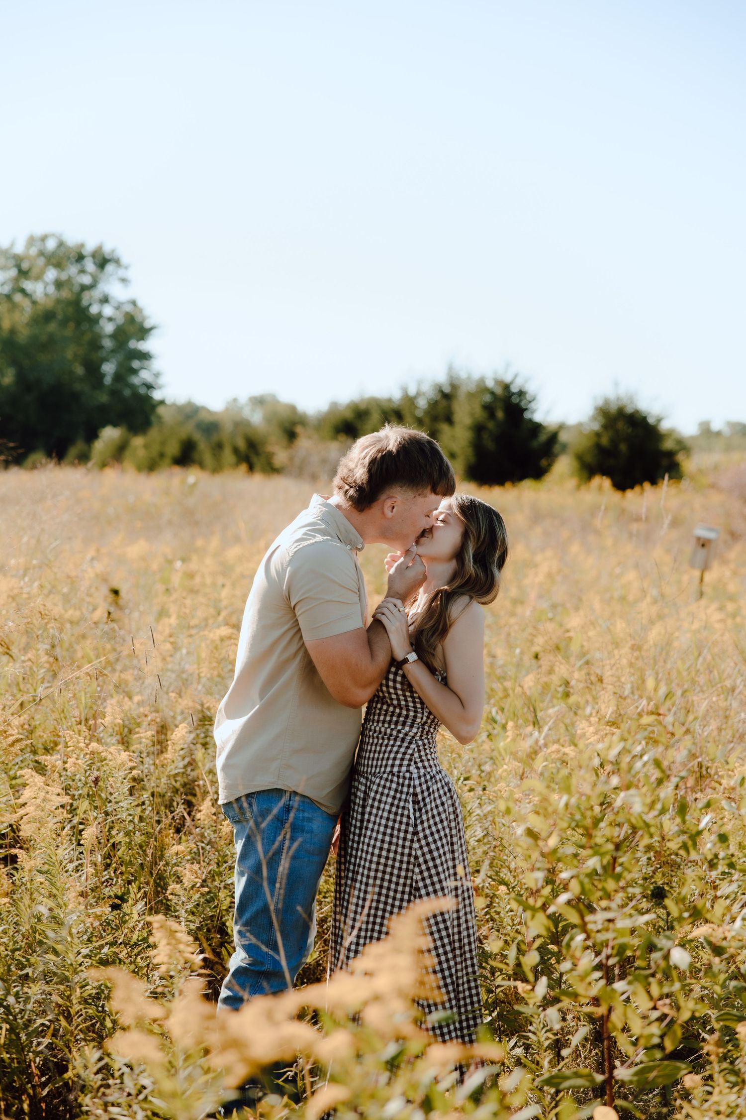 Couple sharing a romantic kiss in a golden field during sunny day, woman in plaid dress, man in casual outfit.