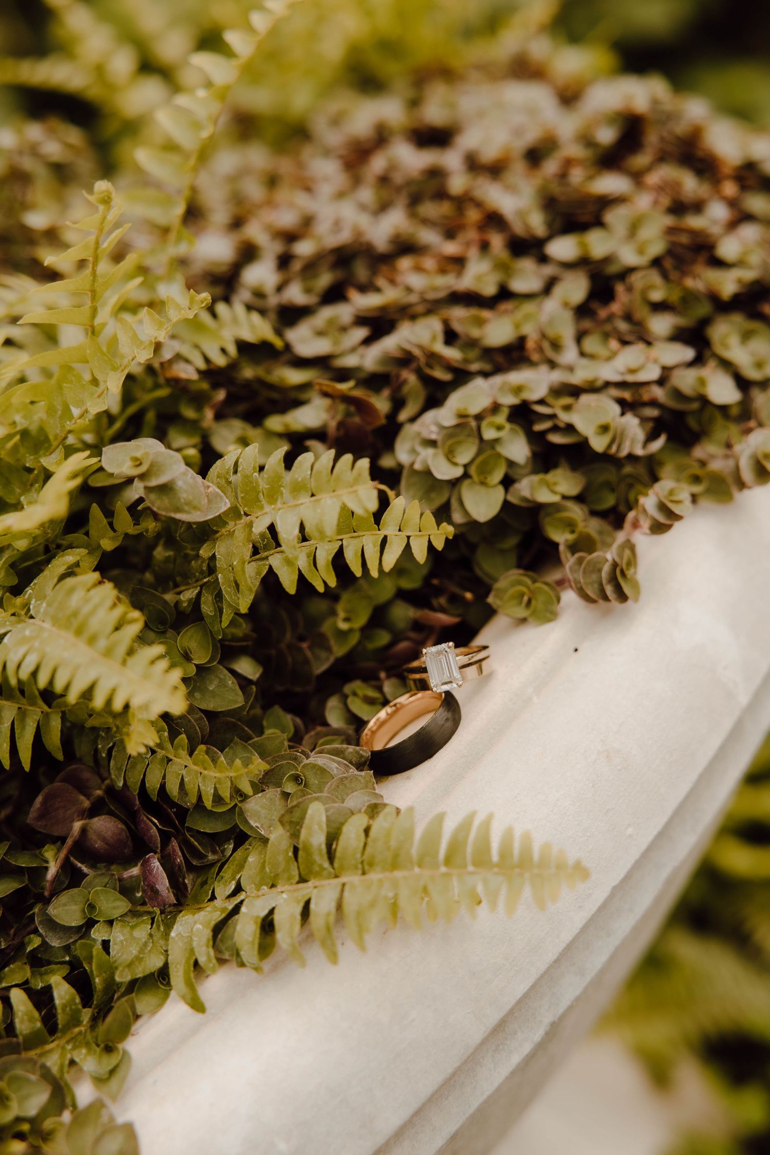 Wedding rings displayed on white fabric surrounded by lush green ferns.