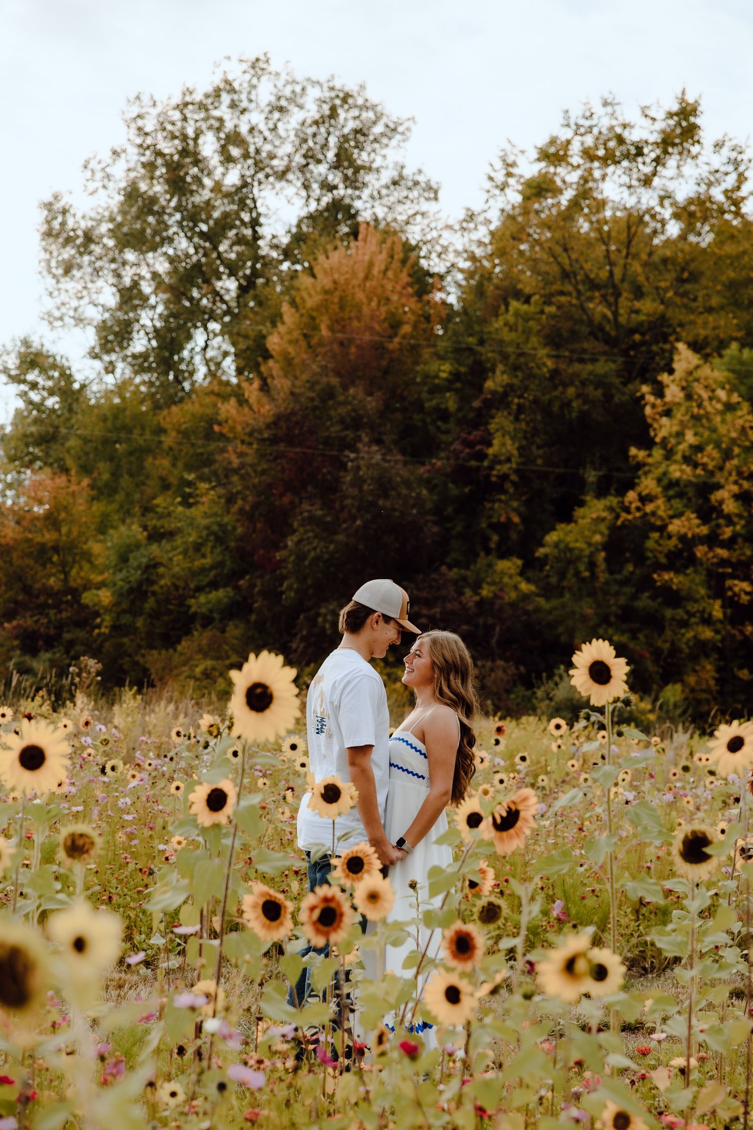 A romantic couple stands together in a blooming sunflower field during golden hour.