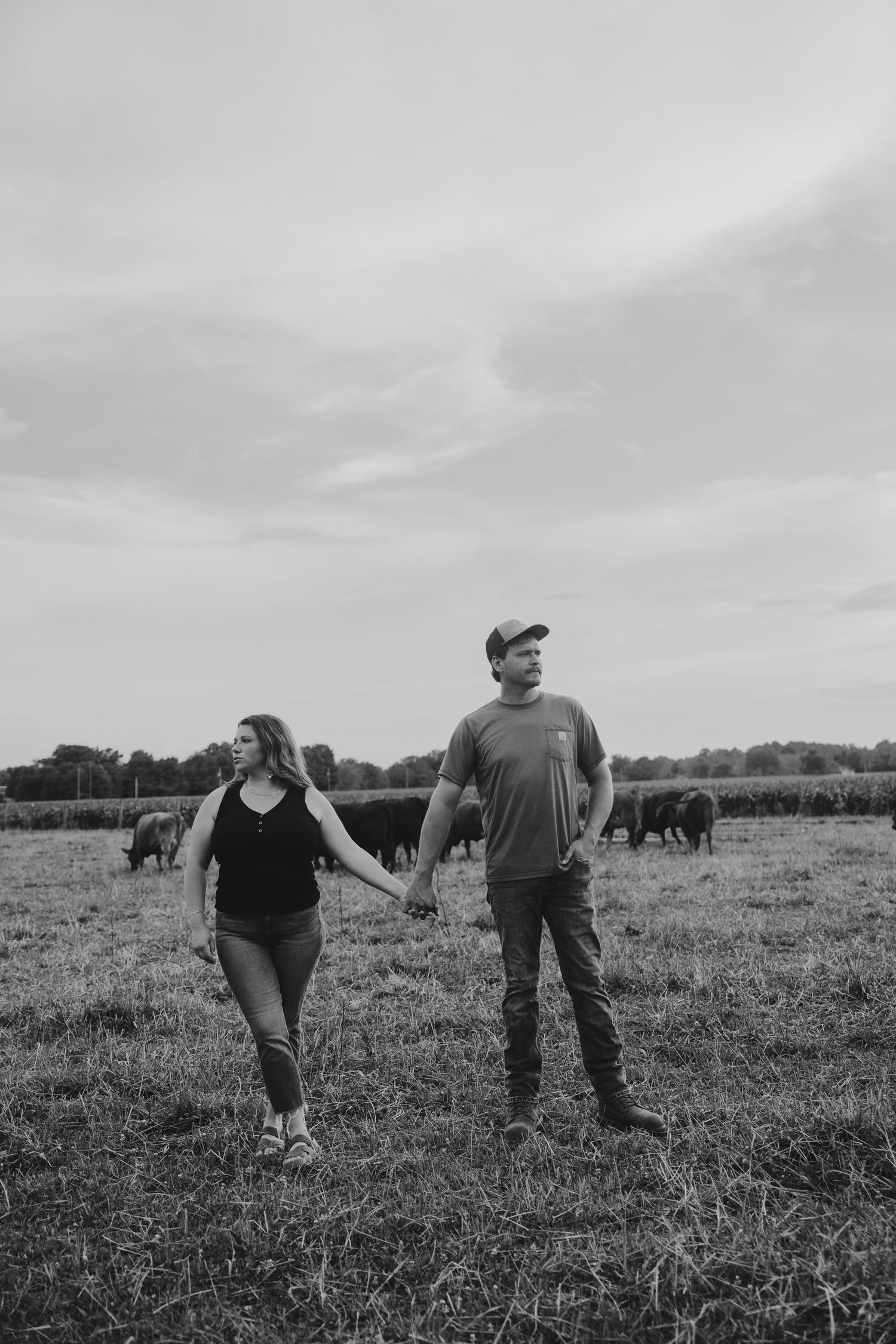 A couple holds hands while walking in a field with cattle grazing in the background.