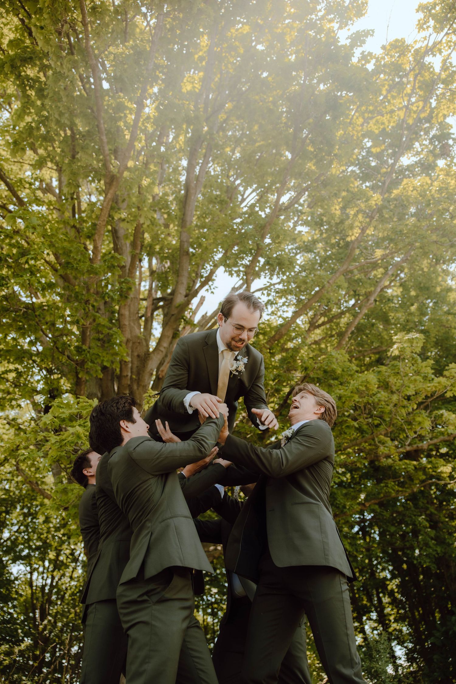 Groomsmen lifting groom into air outdoors in olive green suits with sunlight filtering through trees.