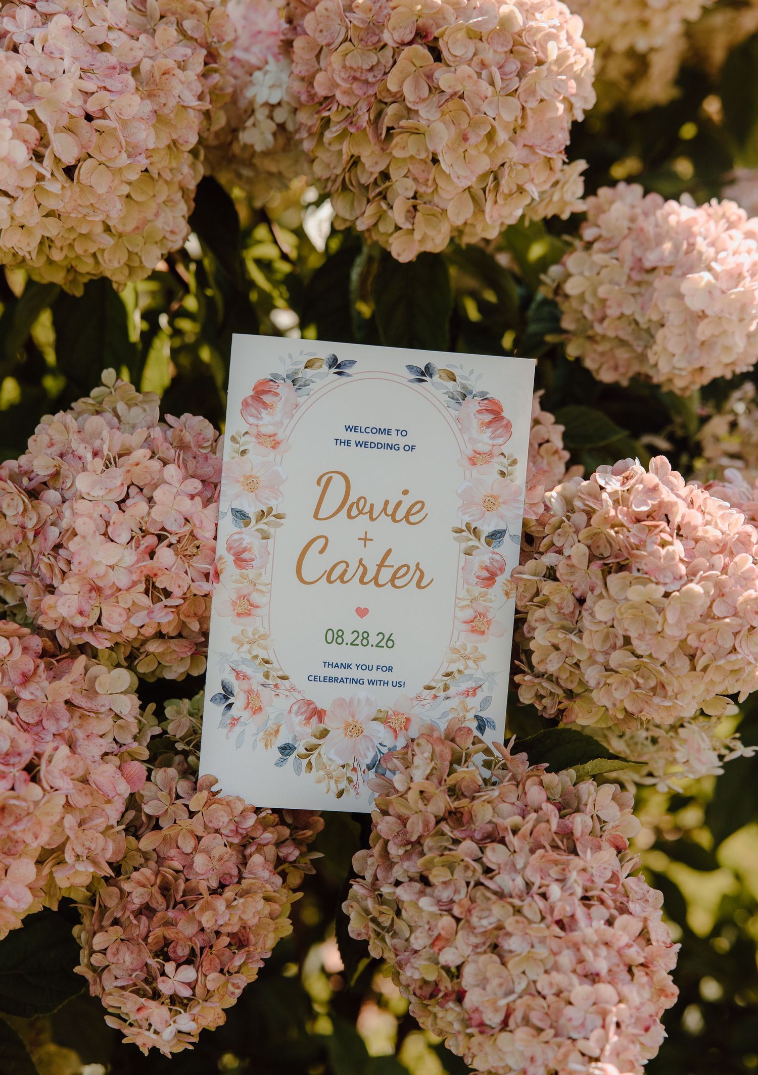 Wedding welcome sign for Dovie and Carter surrounded by pink hydrangea blooms outdoors.