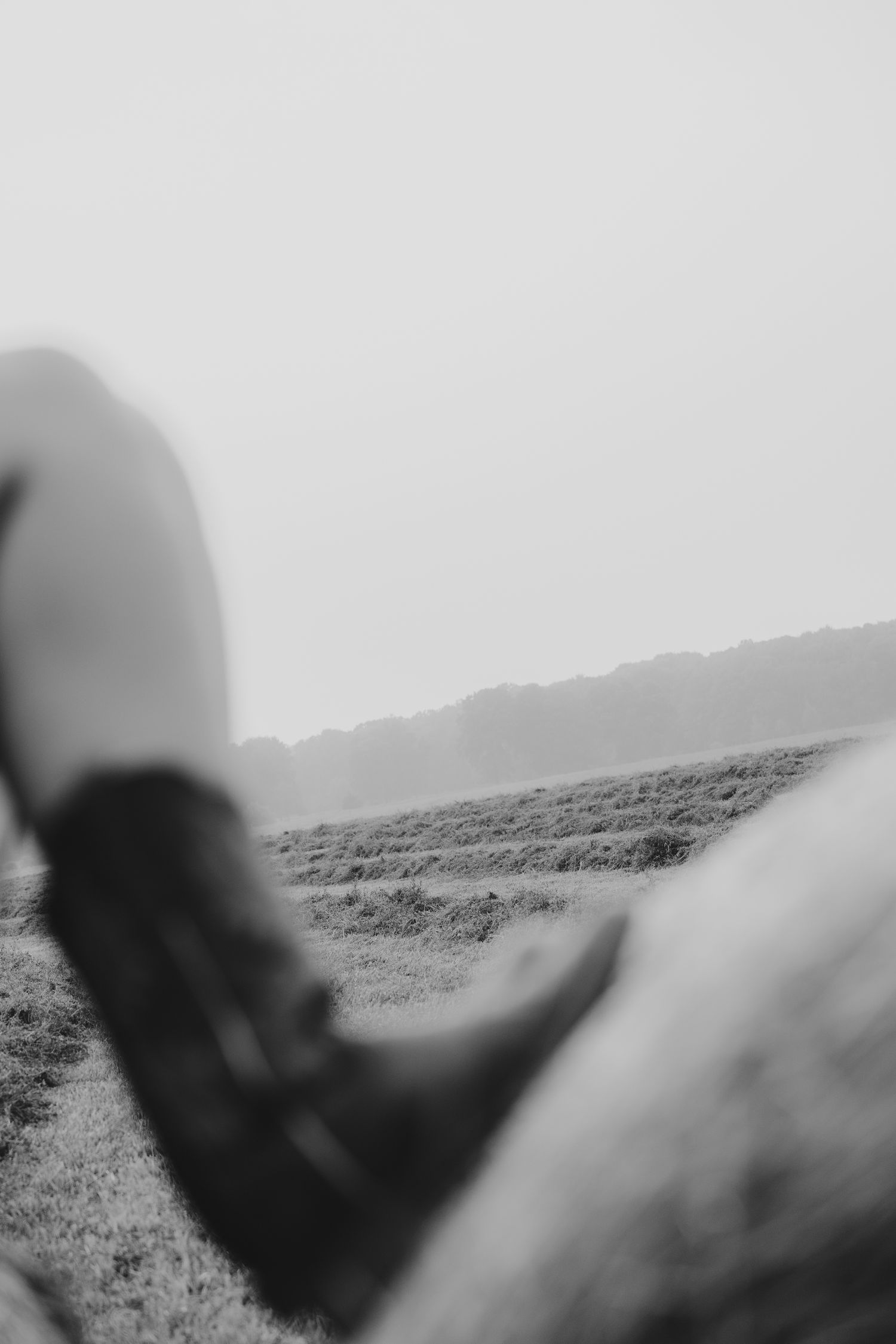 Abstract black and white landscape photograph with blurred foreground elements.