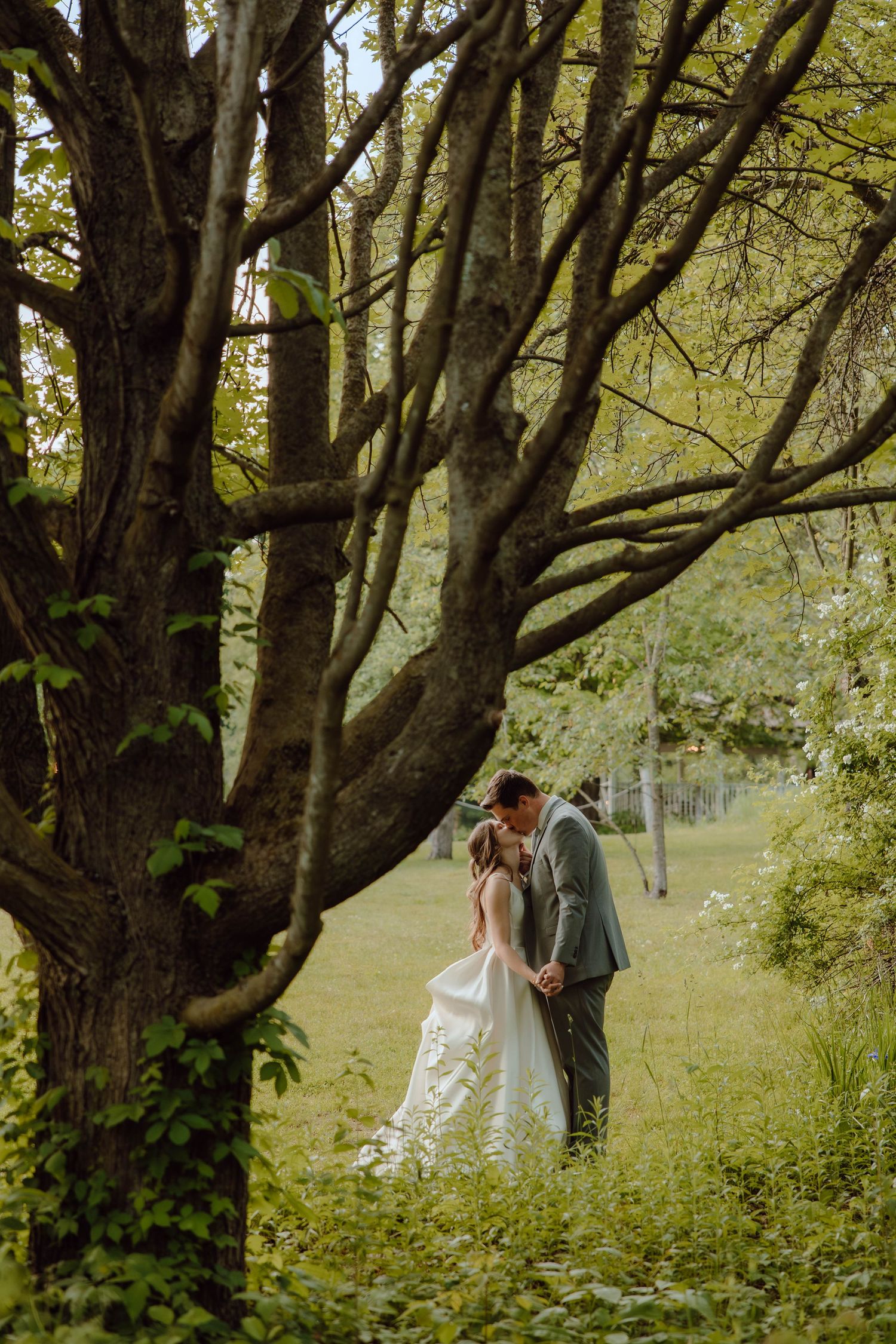 Bride and groom sharing a romantic kiss under a large tree in a lush green garden.