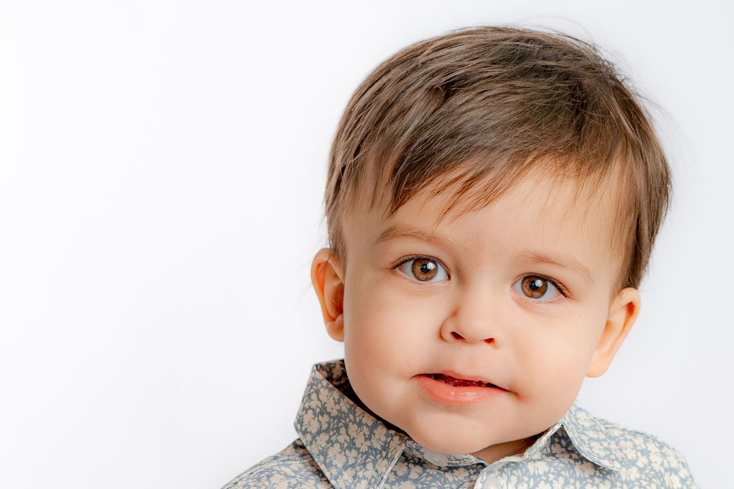 A close-up portrait of a cute toddler boy in a light blue floral shirt against a soft white background.