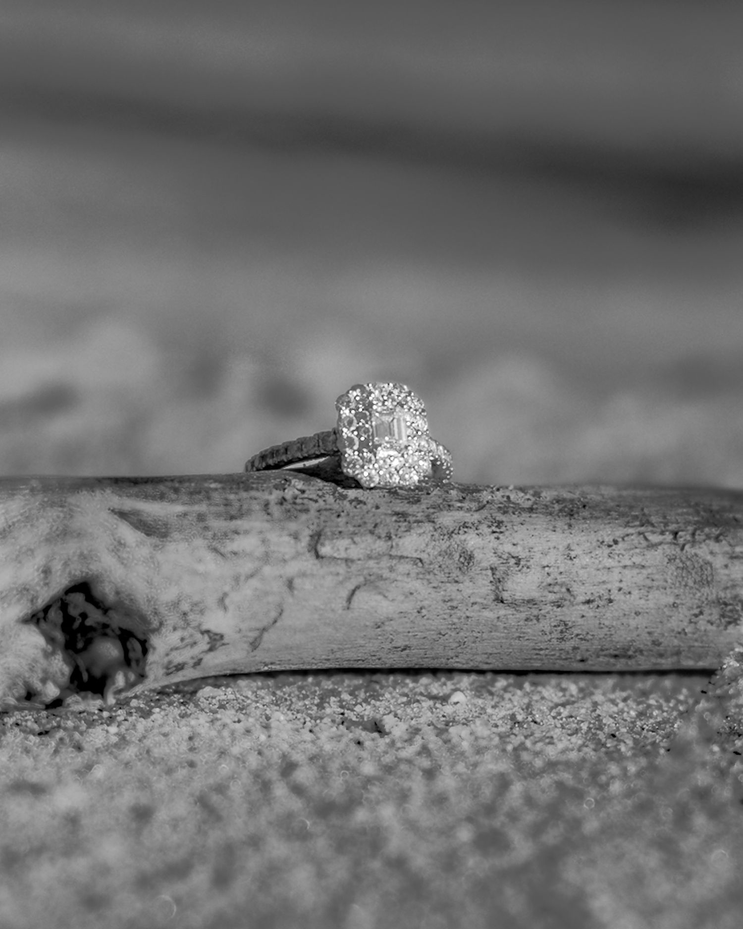 Black and white close-up of a diamond halo engagement ring resting on driftwood at the beach.