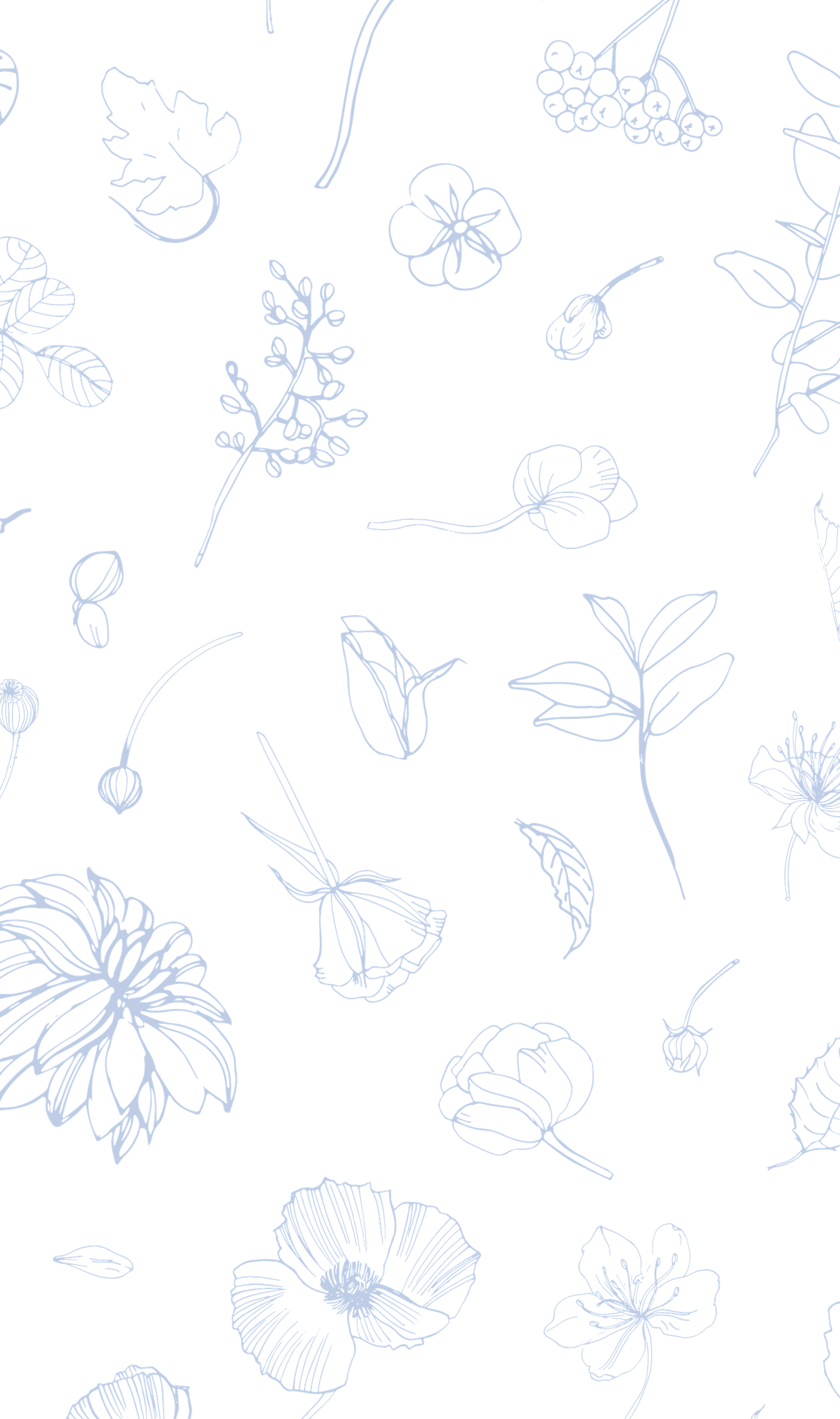 Delicate blue line art botanical illustration featuring various flowers, leaves, and berries scattered on a white background.