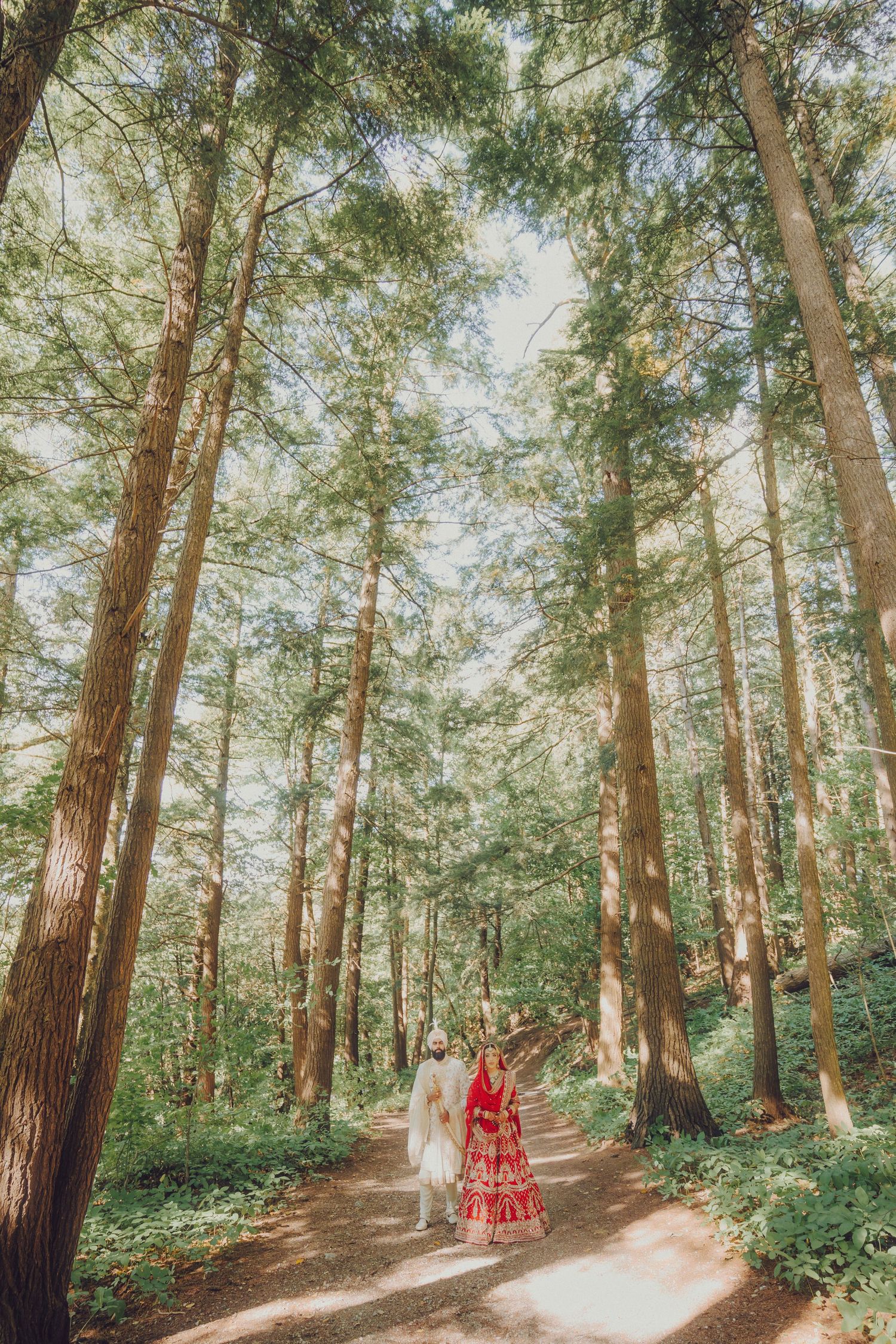 Beautiful wedding photo session in a serene forest path with tall pine trees creating natural archway.