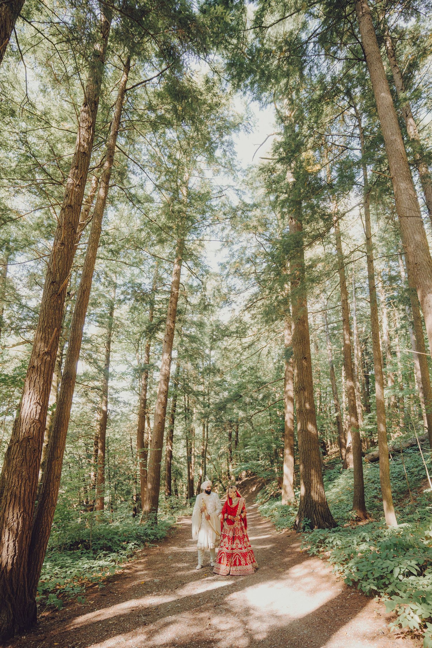 Wedding photography in forest setting with couple walking among tall pine trees.