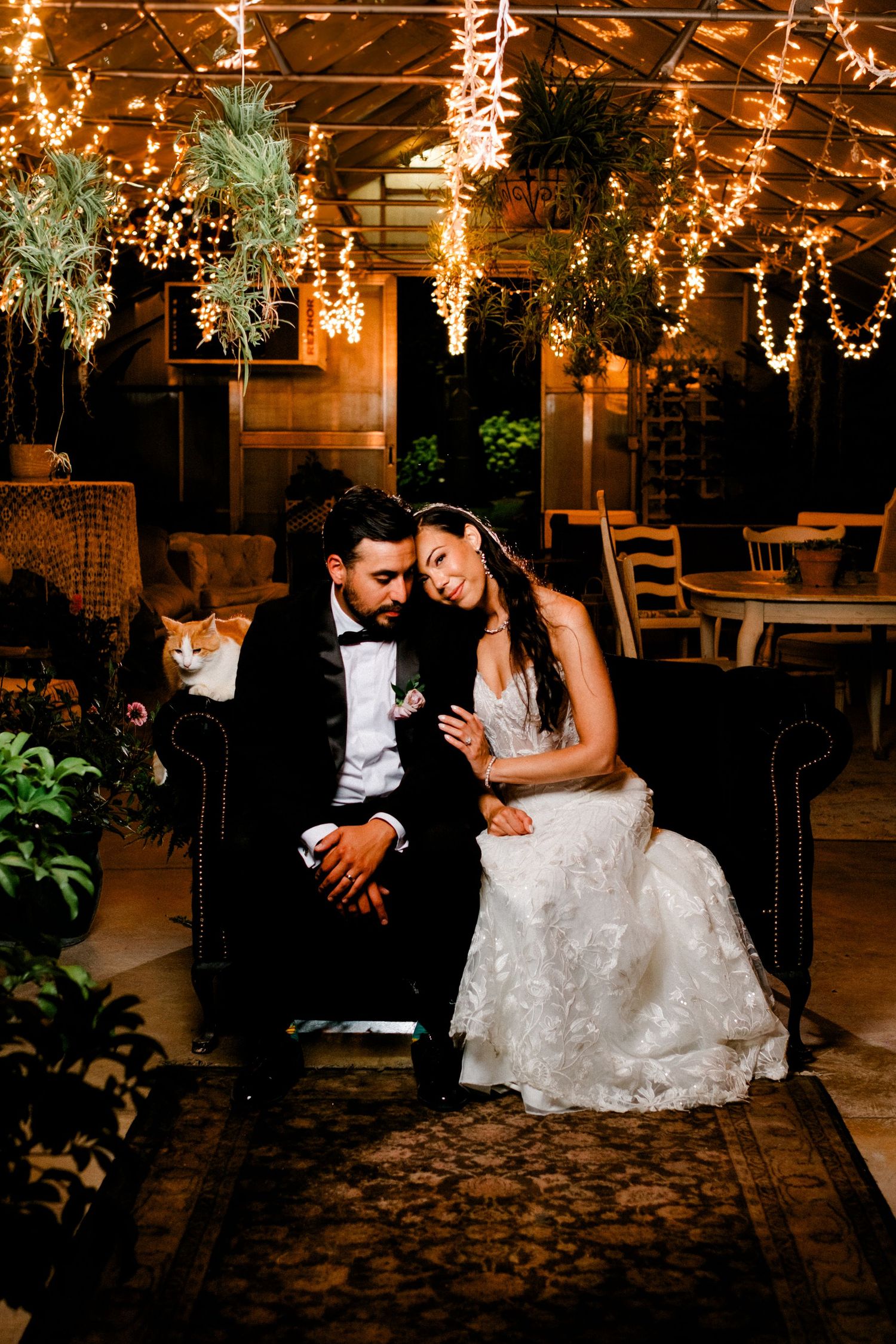 Bride and groom sit together on velvet sofa under fairy lights, with a cat beside them in an elegant venue. Heritage Prairie Farm Elburn IL