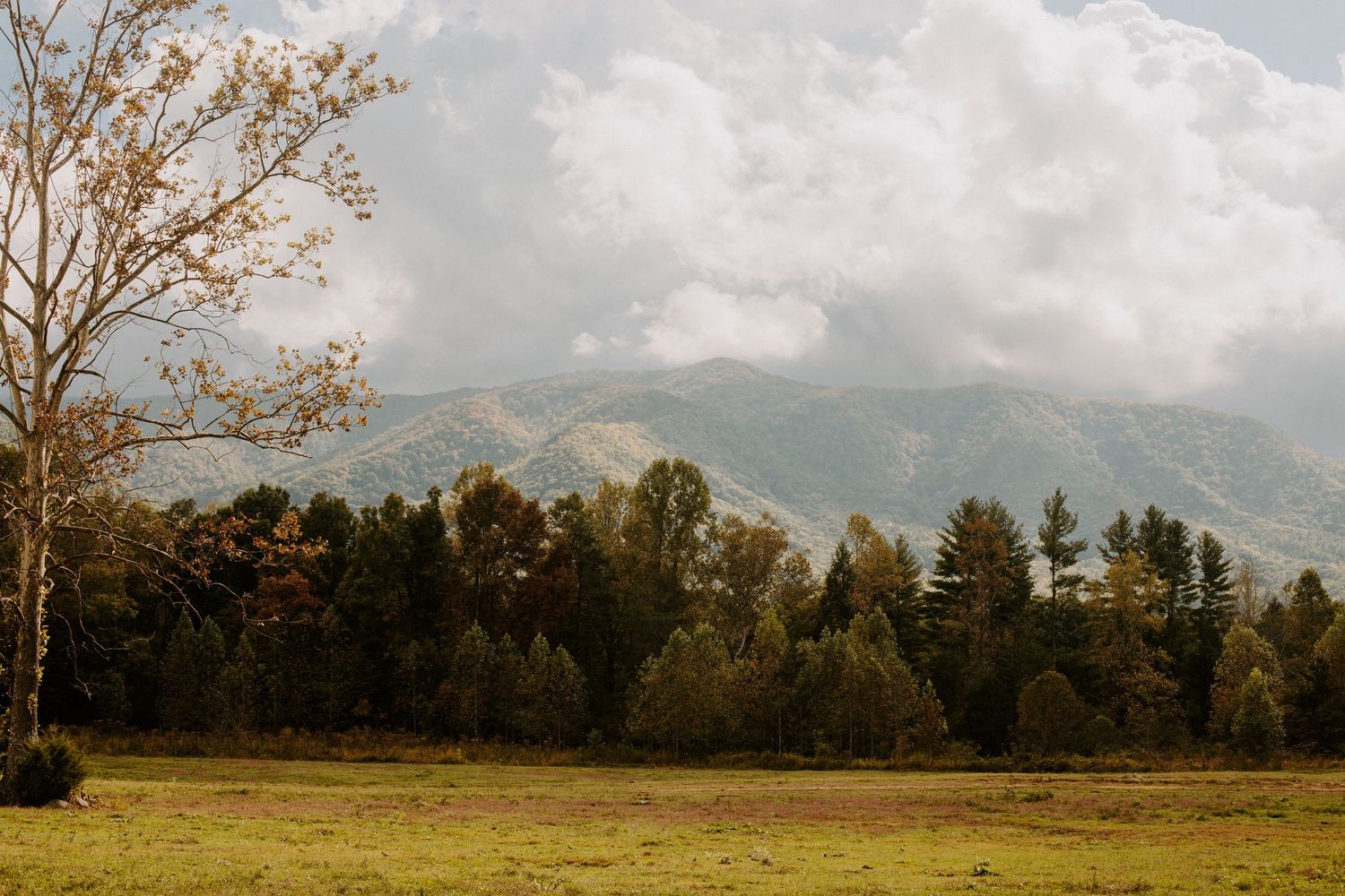 Landscape of tennessee mountains, Cades Cove, Tennessee