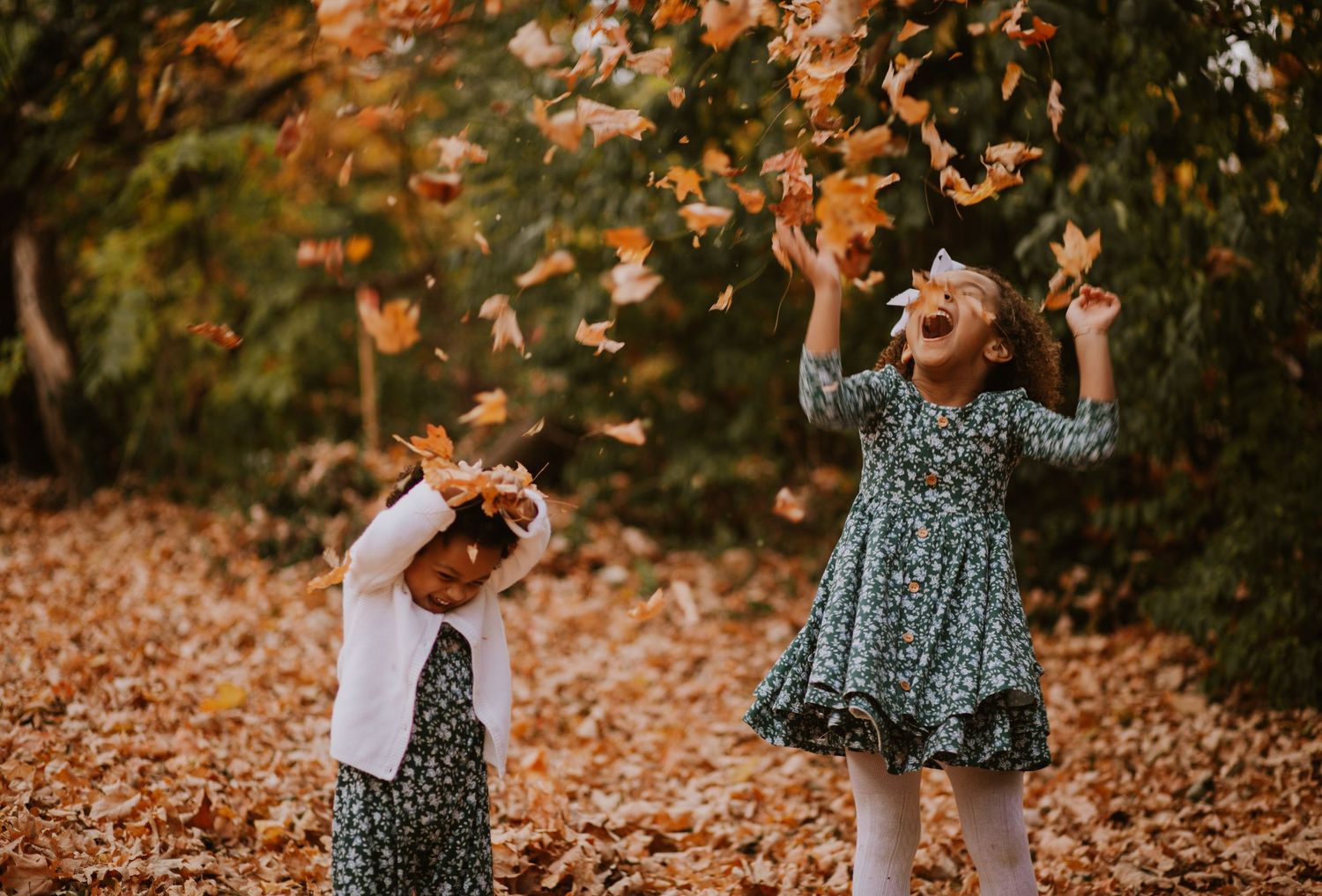 2 children playing in fall leaves, richmond kentucky