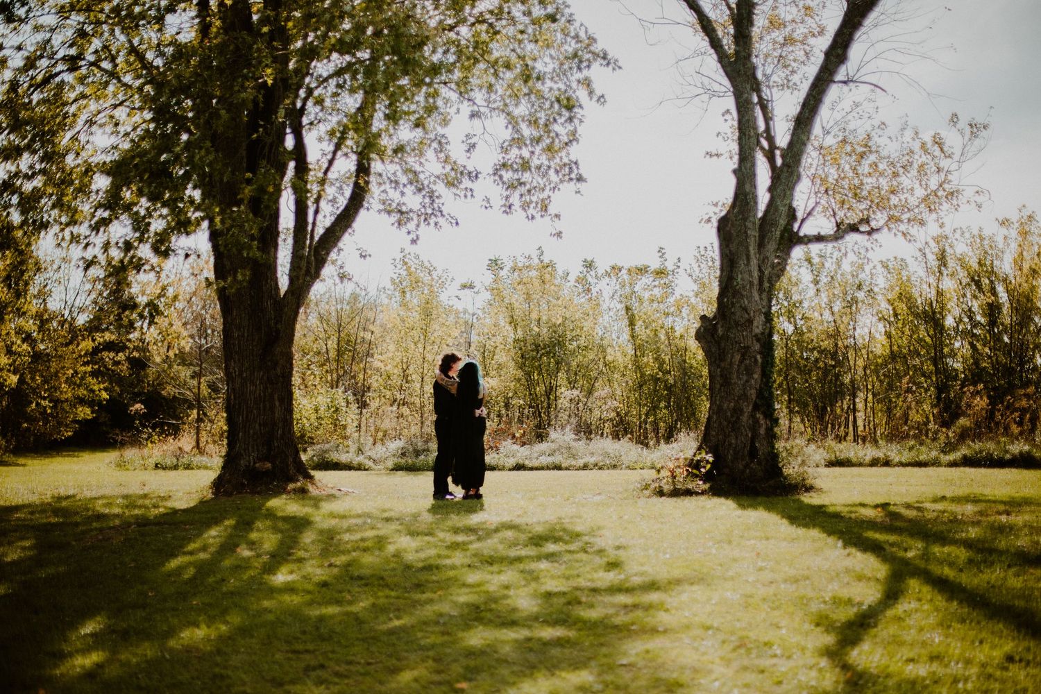 Newly married couple embrace between two tall trees