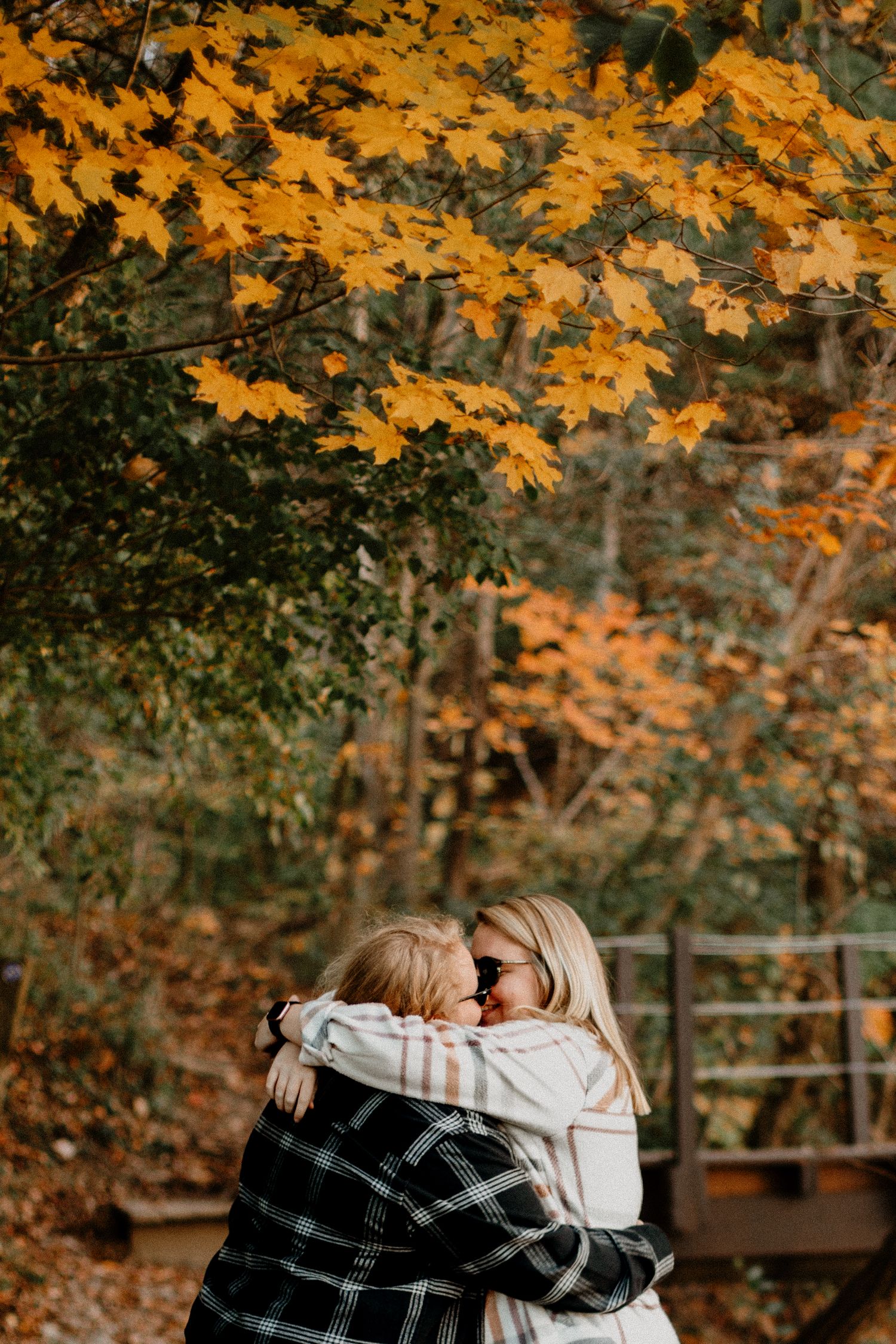 Newly engaged couple embrace under a tree with fall colors, Richmond photographer, rachel gorth, armory photography