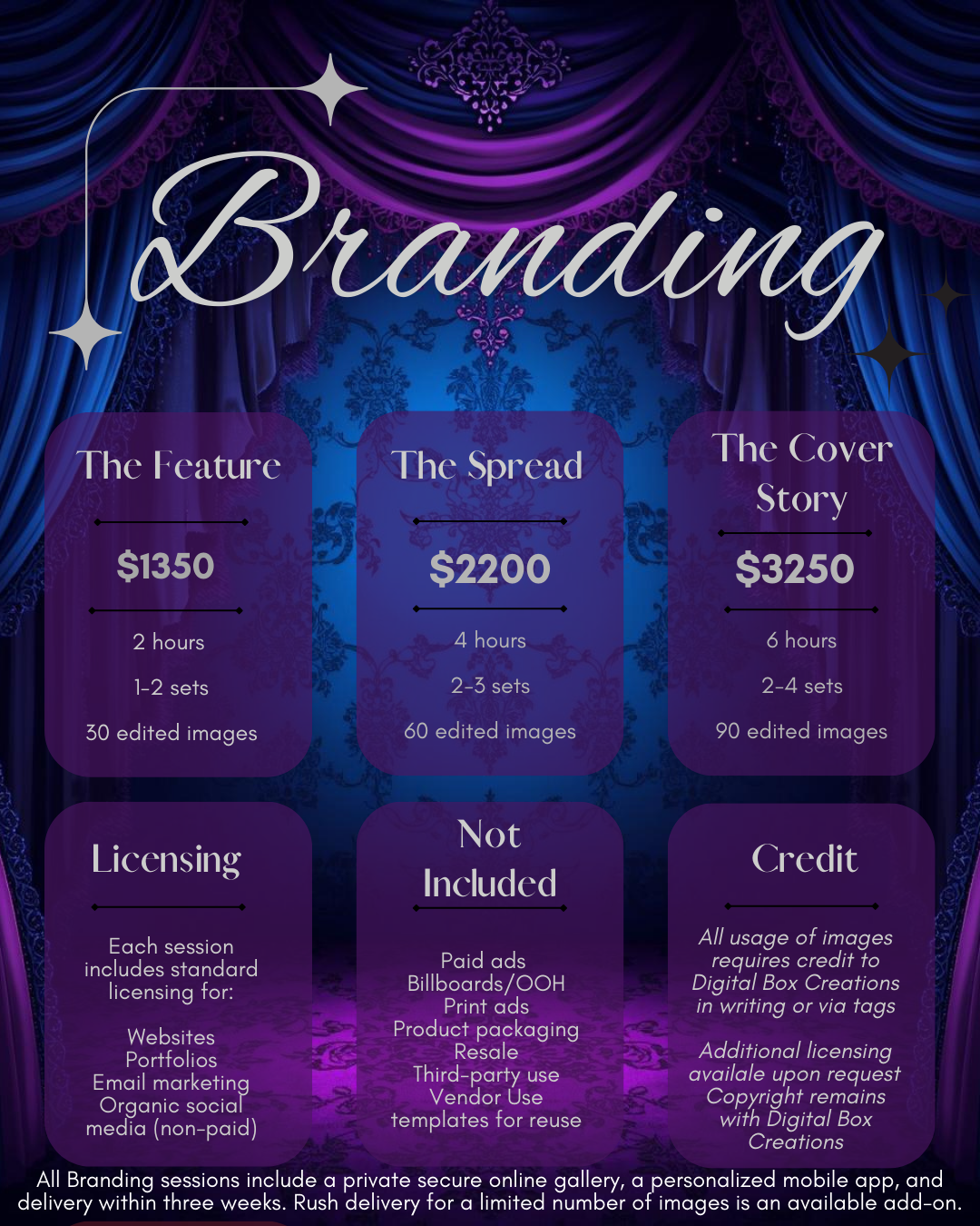 Luxury branding packages menu featuring three service tiers on rich purple background with decorative elements.