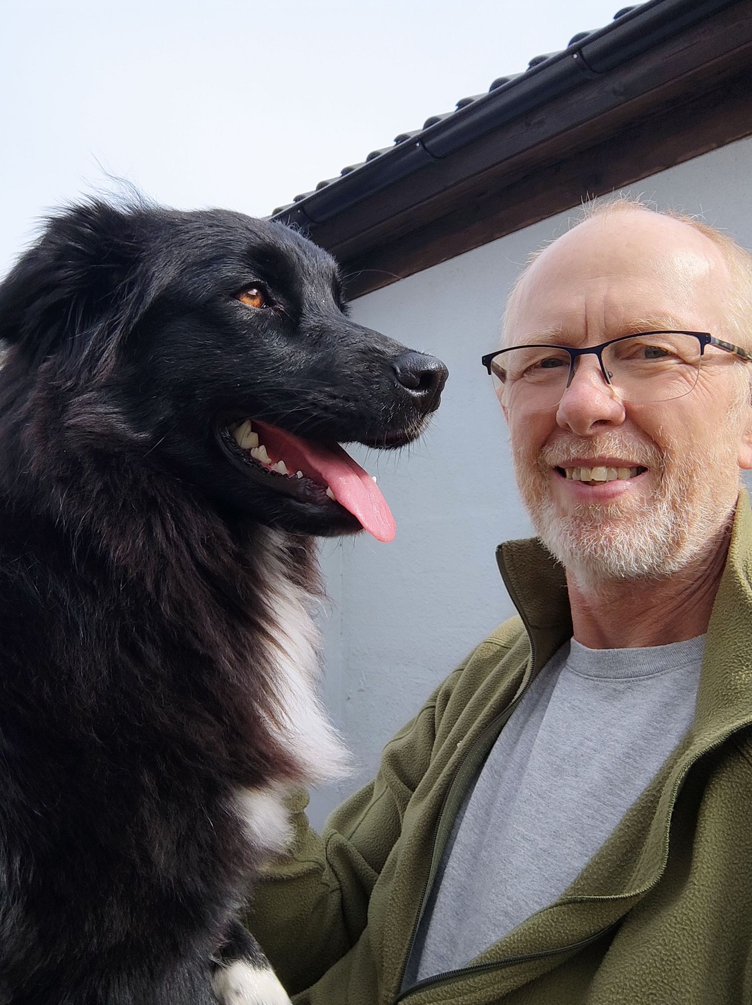 svensk hundfotograf specialiserad på uttrycksfulla hundporträtt