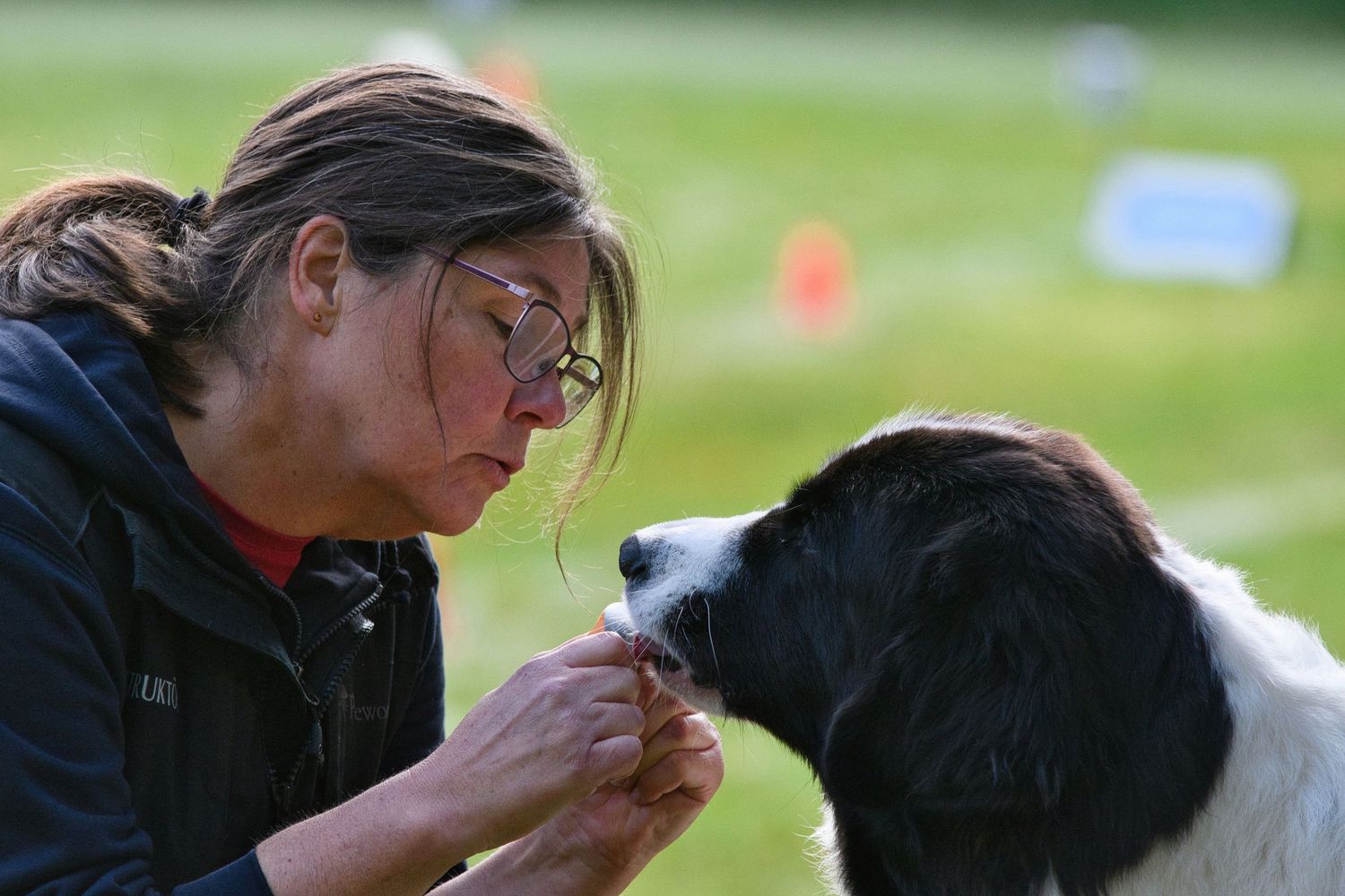 Lady feeding a dog