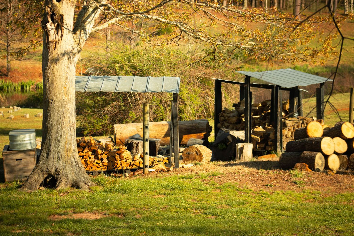 Rustic wood storage shed with stacked logs and firewood near a large tree in a scenic autumn countryside setting.
