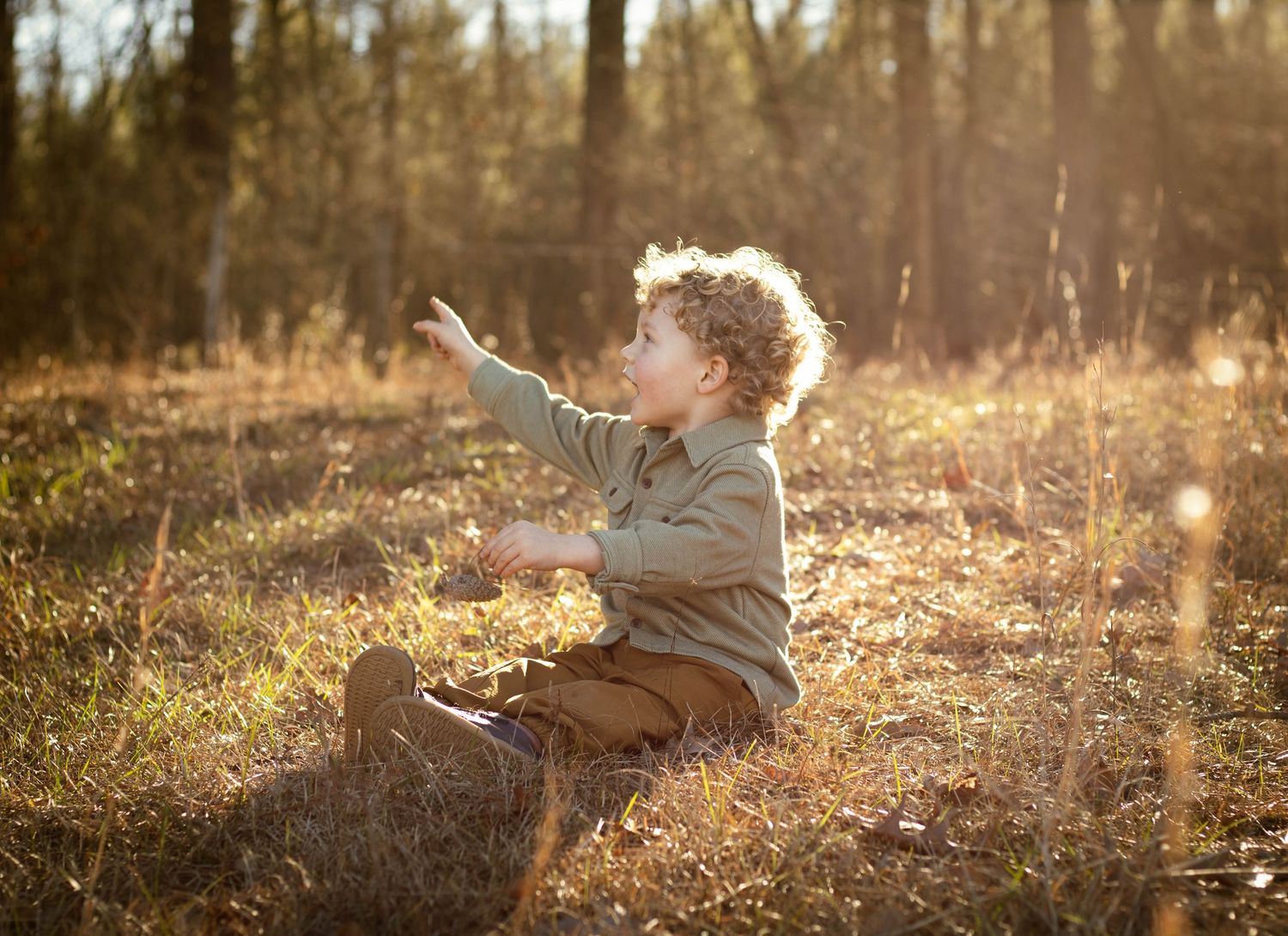 A curly-haired toddler sits in a sunlit meadow, reaching up to point at something in the golden autumn light.