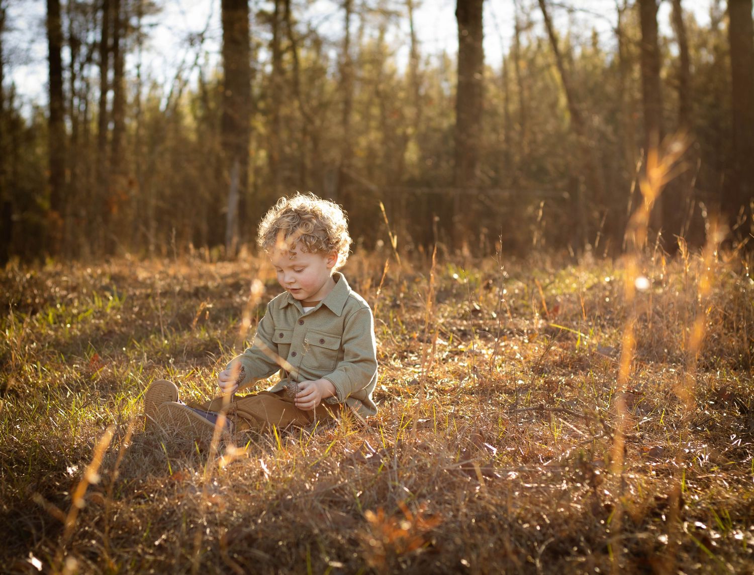 A curly-haired toddler plays in a sunlit autumn field surrounded by tall grass.