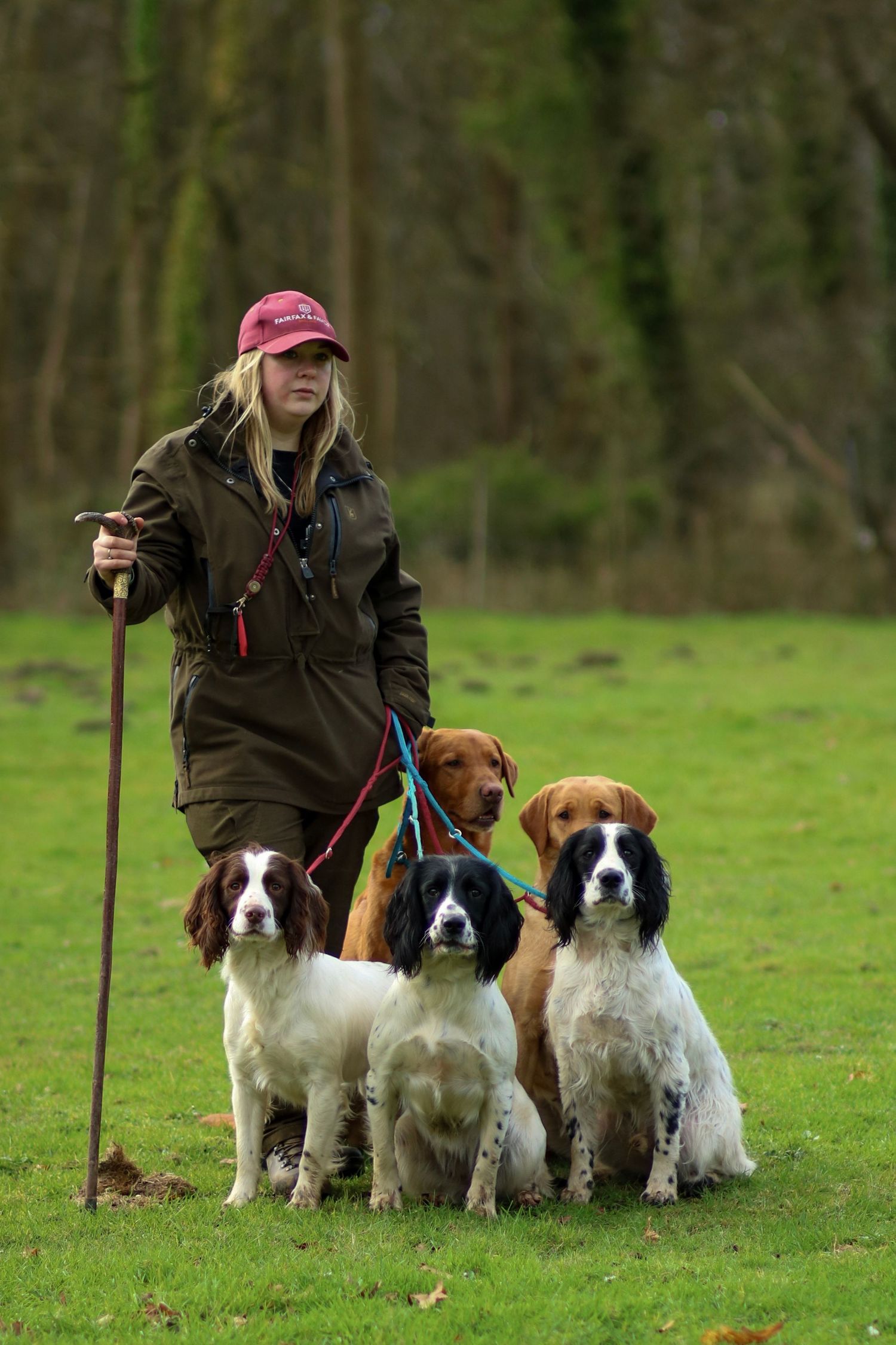 Woman in brown jacket and pink cap walking four dogs on leashes across a green field.