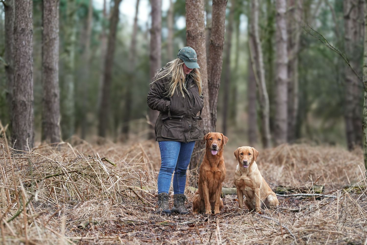 A woman in a green cap and jacket stands with two fox red Labrador retrievers in an autumn pine forest.
