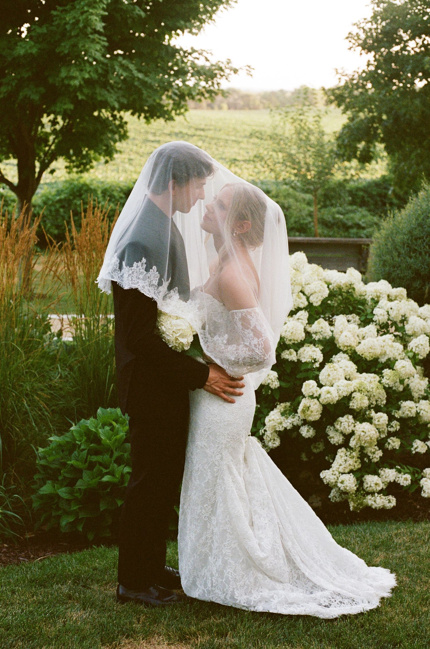Bride and groom share a romantic kiss under a lace veil surrounded by white hydrangeas in a lush garden.