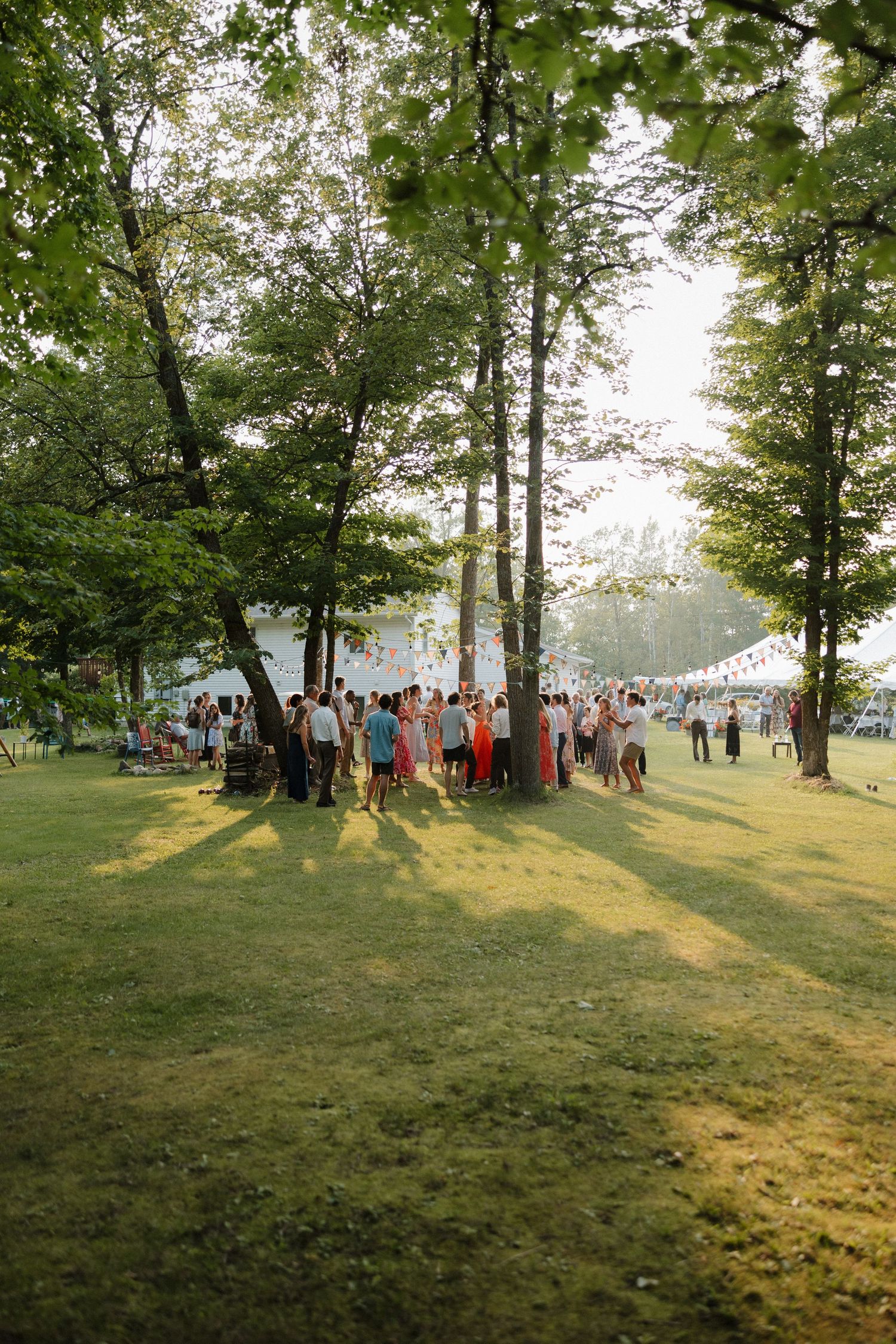 Wedding guests gather on a sunlit lawn surrounded by tall trees.