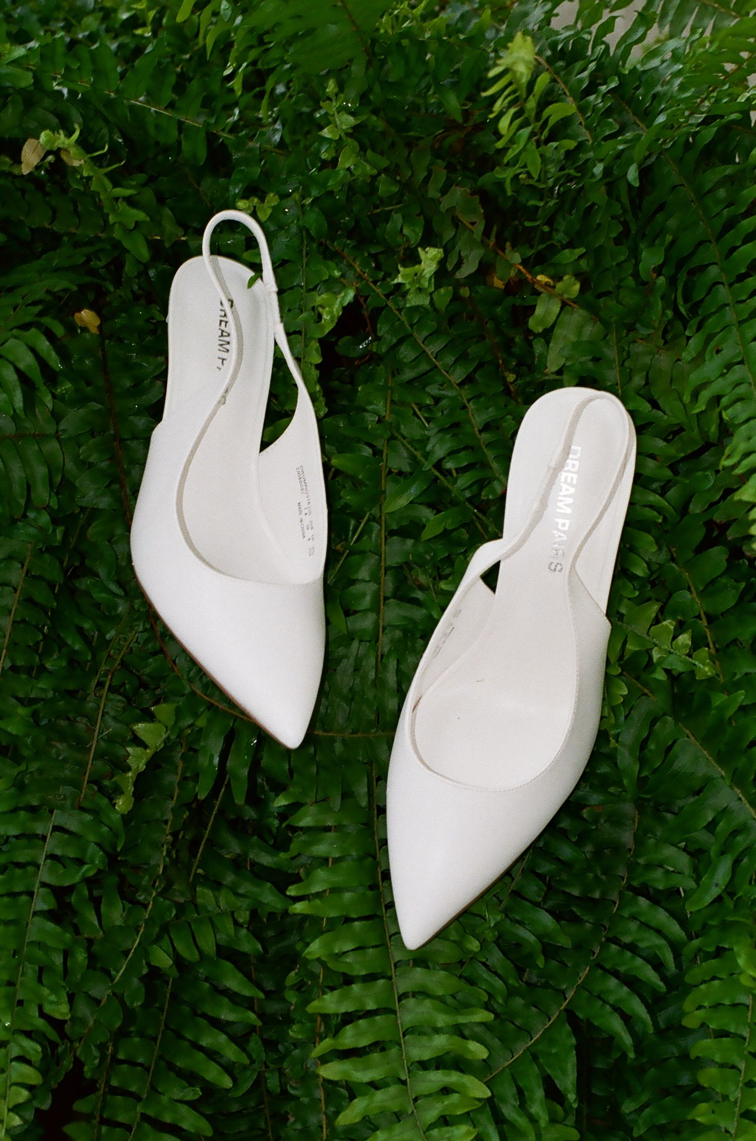 White pointed-toe slingback heels displayed on lush green fern leaves.