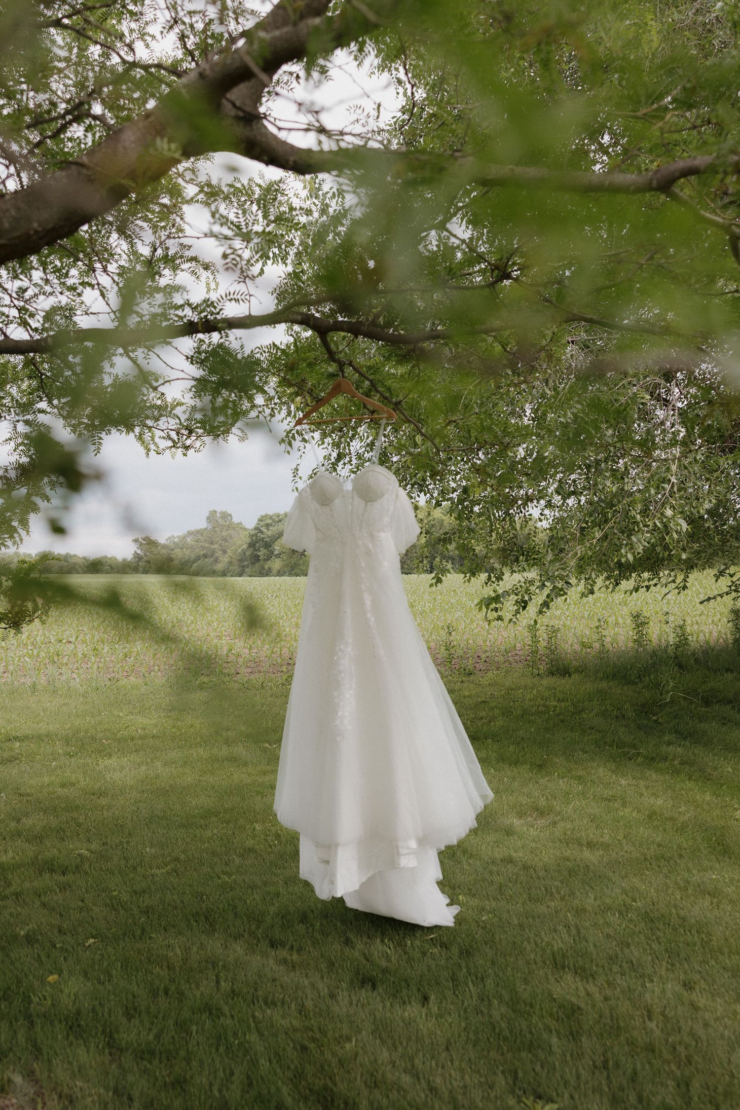 A white wedding dress hanging from a tree branch in a lush green outdoor setting.